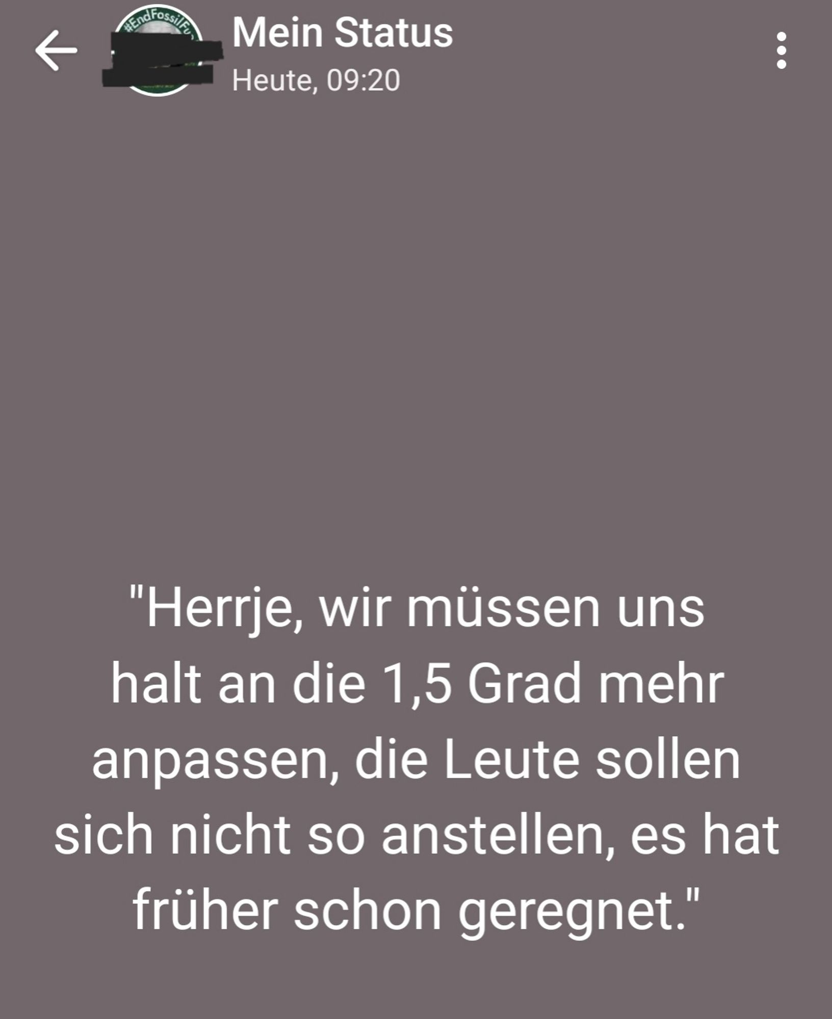 Screenshot WhatsApp-Status. Dunkler Hintergrund. "Herrje, wir müssen uns halt an die 1,5 Grad mehr anpassen, die Leute sollen sich nicht so anstellen, es hat früher schon geregnet."