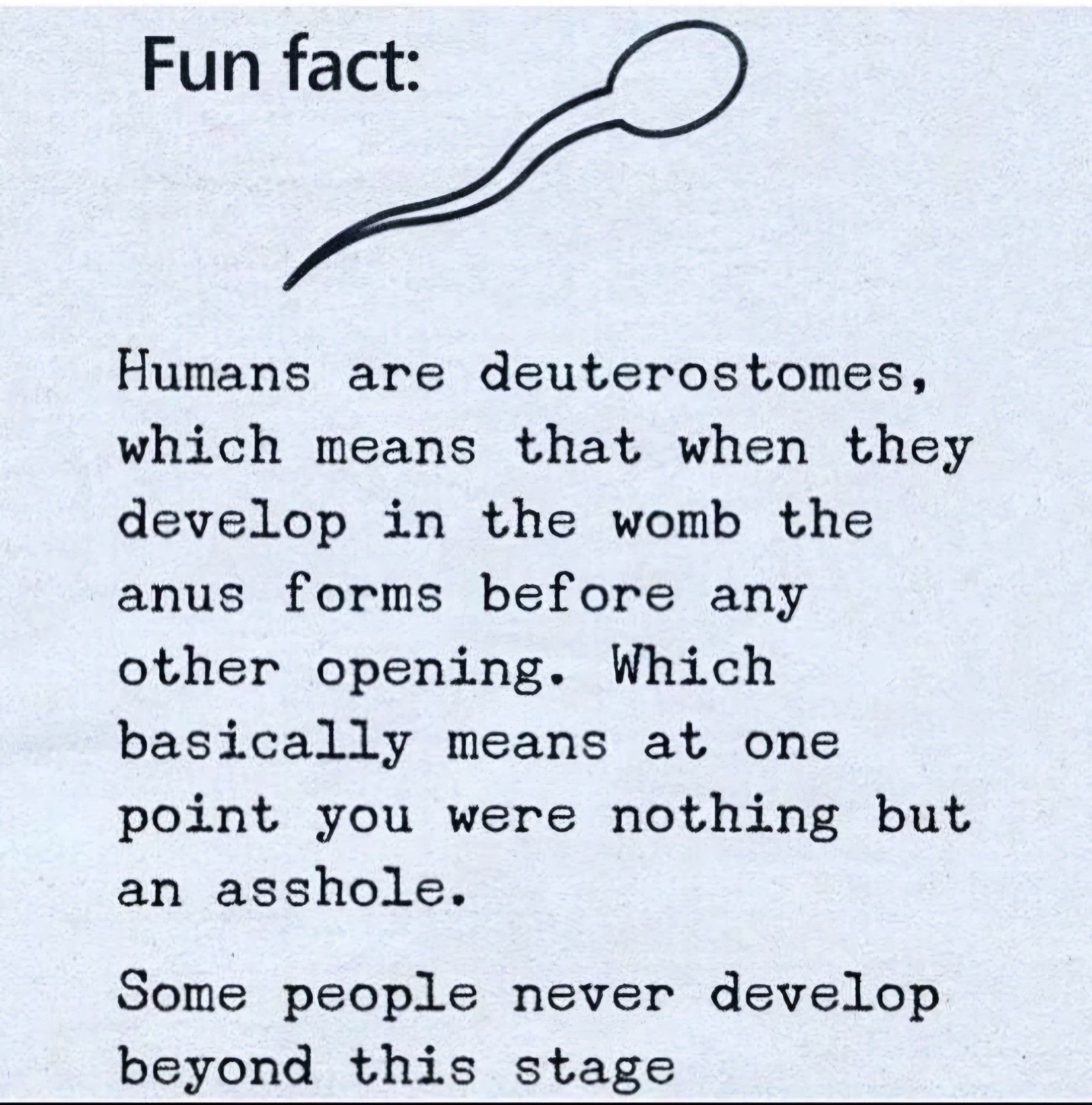 Fun fact:  
Humans are deuterostomes,  which means that when they  develop in the womb the  anus forms before any  other opening. Which  basically means at one  point you were nothing but  an asshole.  
Some people never develop  beyond this stage