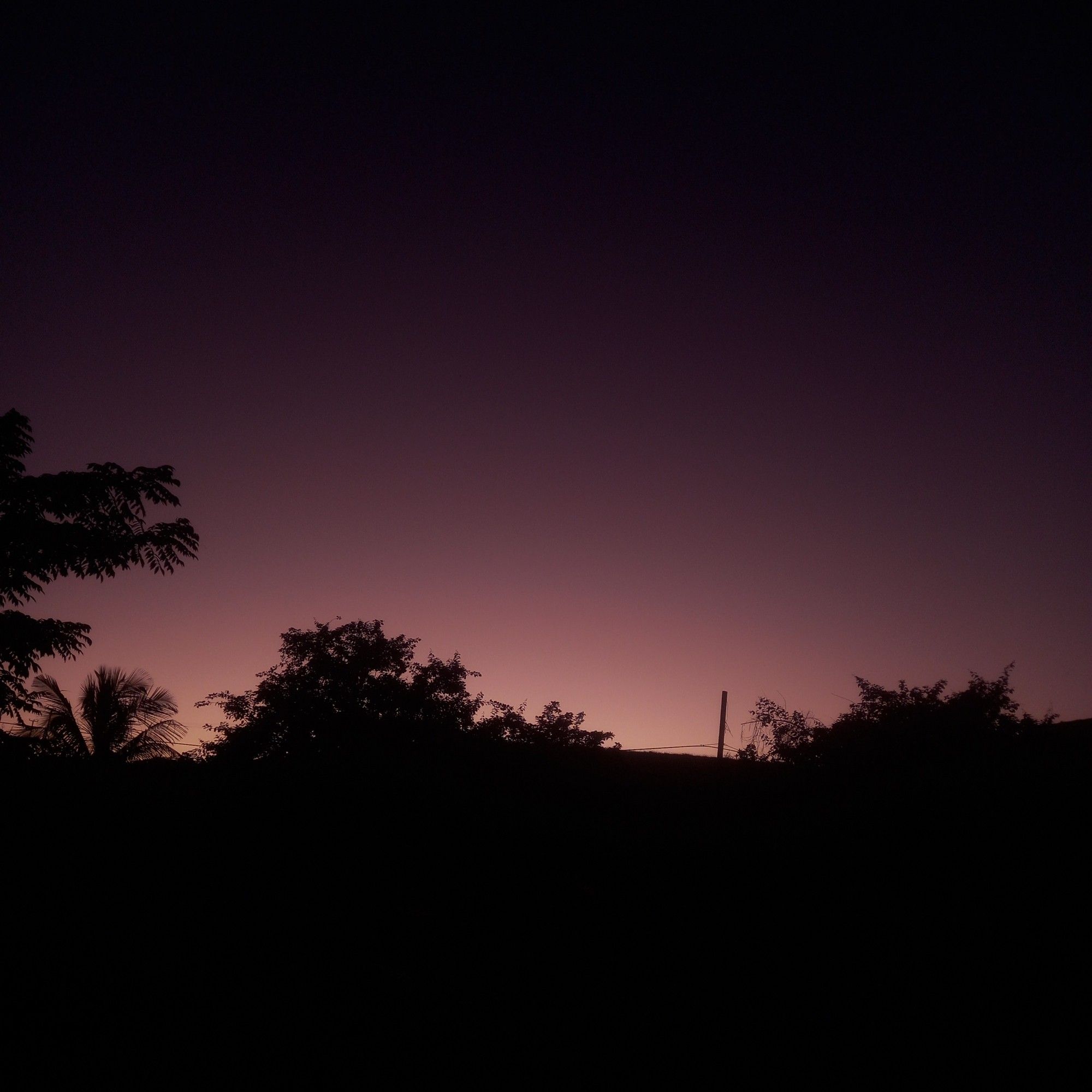 The silhouette if an uneven treeline against a dark mauve evening sky