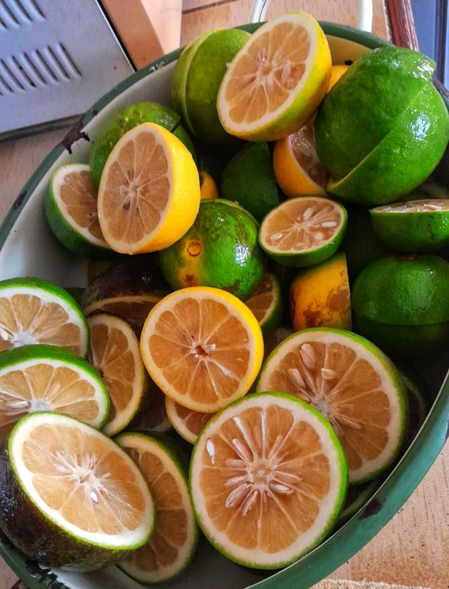 Dark green and yellow skin lemons, cut showing the juicy insides 