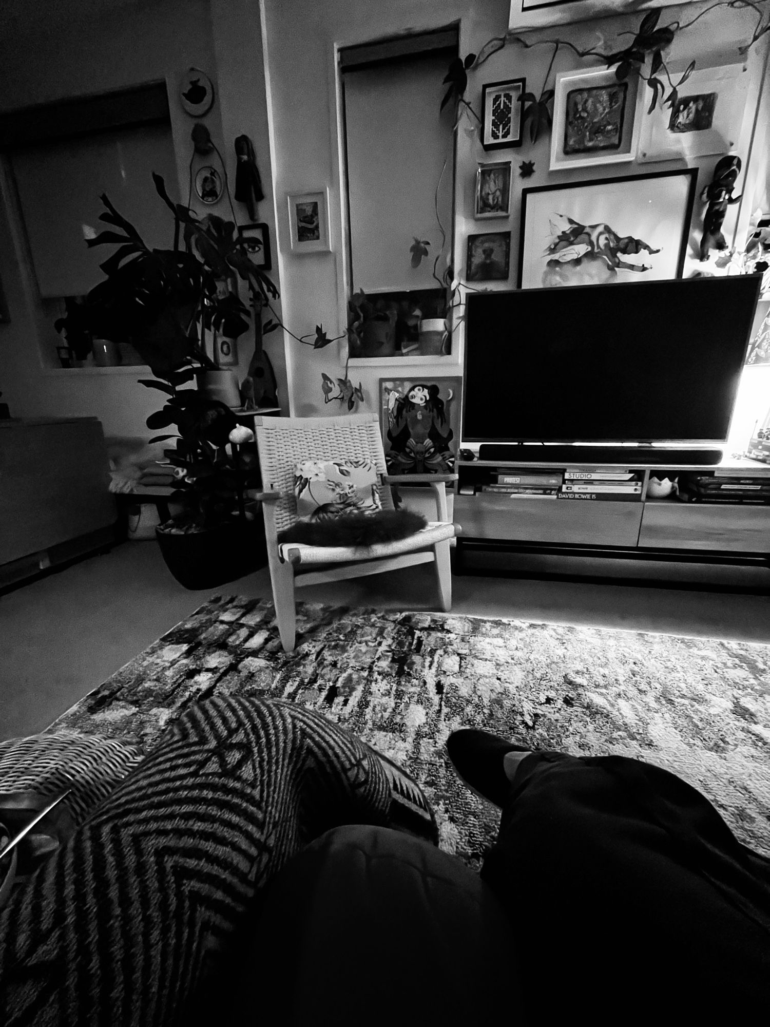 Black and white photo of a living room featuring a chair, tv screen, plants, carpet, art and a blanket.