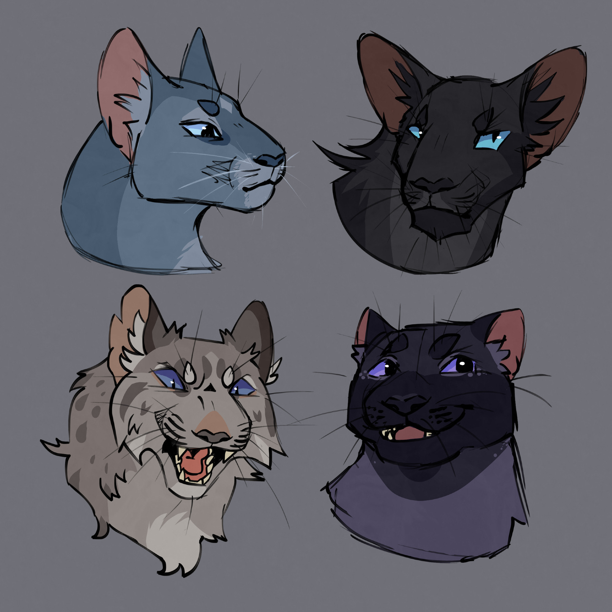 Four digital headshot drawings of grey cats with blue eyes. Top to bottom/Left to right: a short-haired light blue-grey cat with a stern/calm expression. It has dark markings under its eyes, a pale muzzle and chest, pale diamond on its forehead, pale "eye shadow" above its eyes, and a darker blue-grey extending up the back of its neck and down to its nose. The next cat is a much darker grey/almost black cat with a long snout, big ears, and a somewhat grumpy expression. It has longer fur on the back of its neck, and darker markings extend from the corner of its eyes to its chin, forming sideburns. Next is a longer haired light warm grey cat with darker spots, dark blue eyes, and a snarling/yelling expression. It also has dark markings under its eyes like the first cat. The final cat is a dark blue-grey, with a wider face and small ears. It has a dark mask over its face and paler neck fur. Around its eyes are small pale freckles