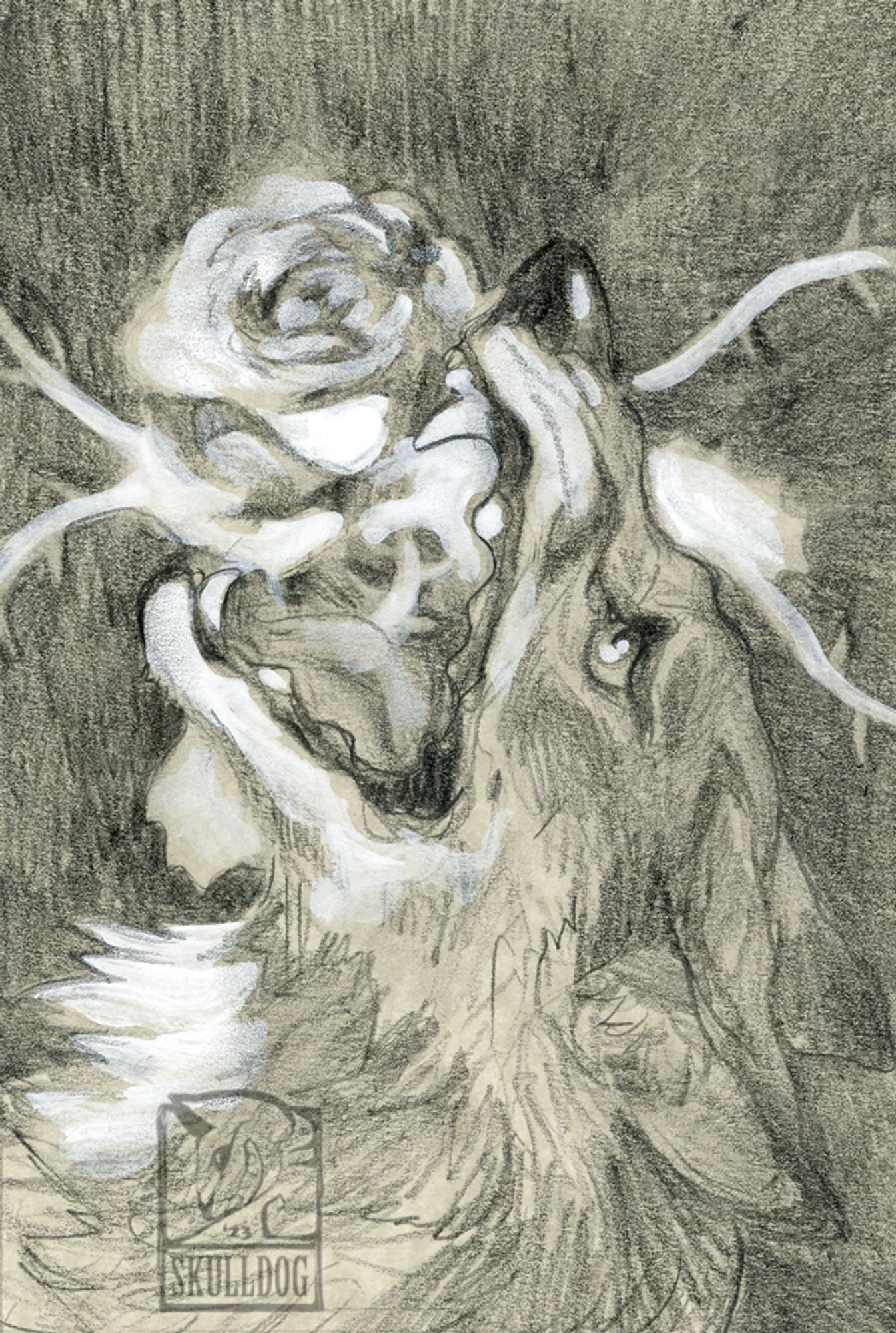 A pencil image featuring a fox with a rose and thorns it it's mouth.