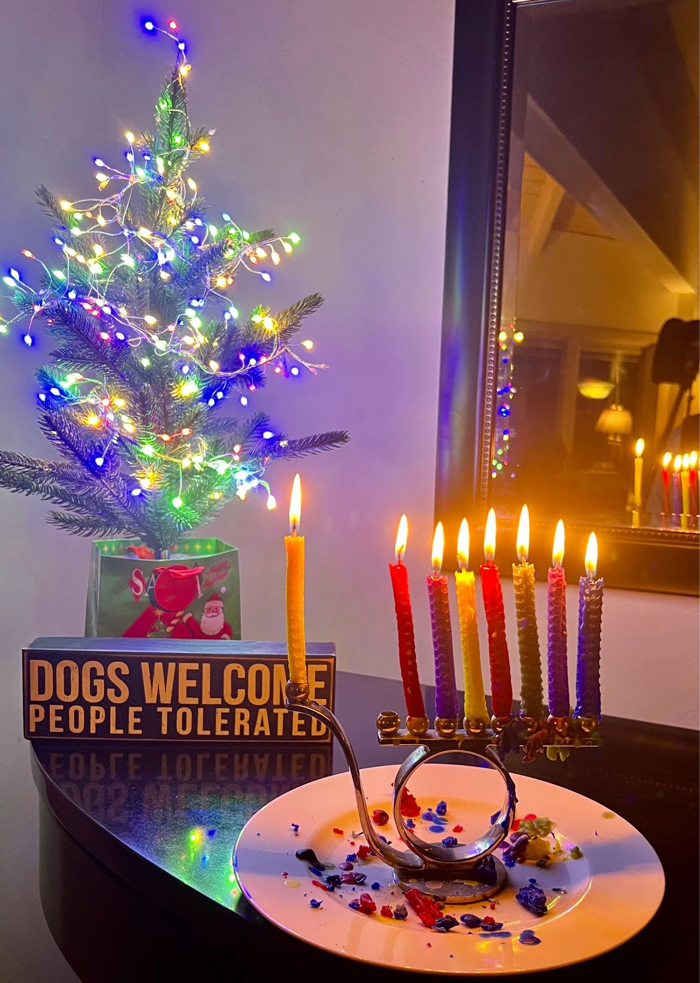 Hanukkah menorah with seven candles sitting in front of a tiny lighter Christmas tree next to a sign that says “Dogs Welcome, People Tolerated”.