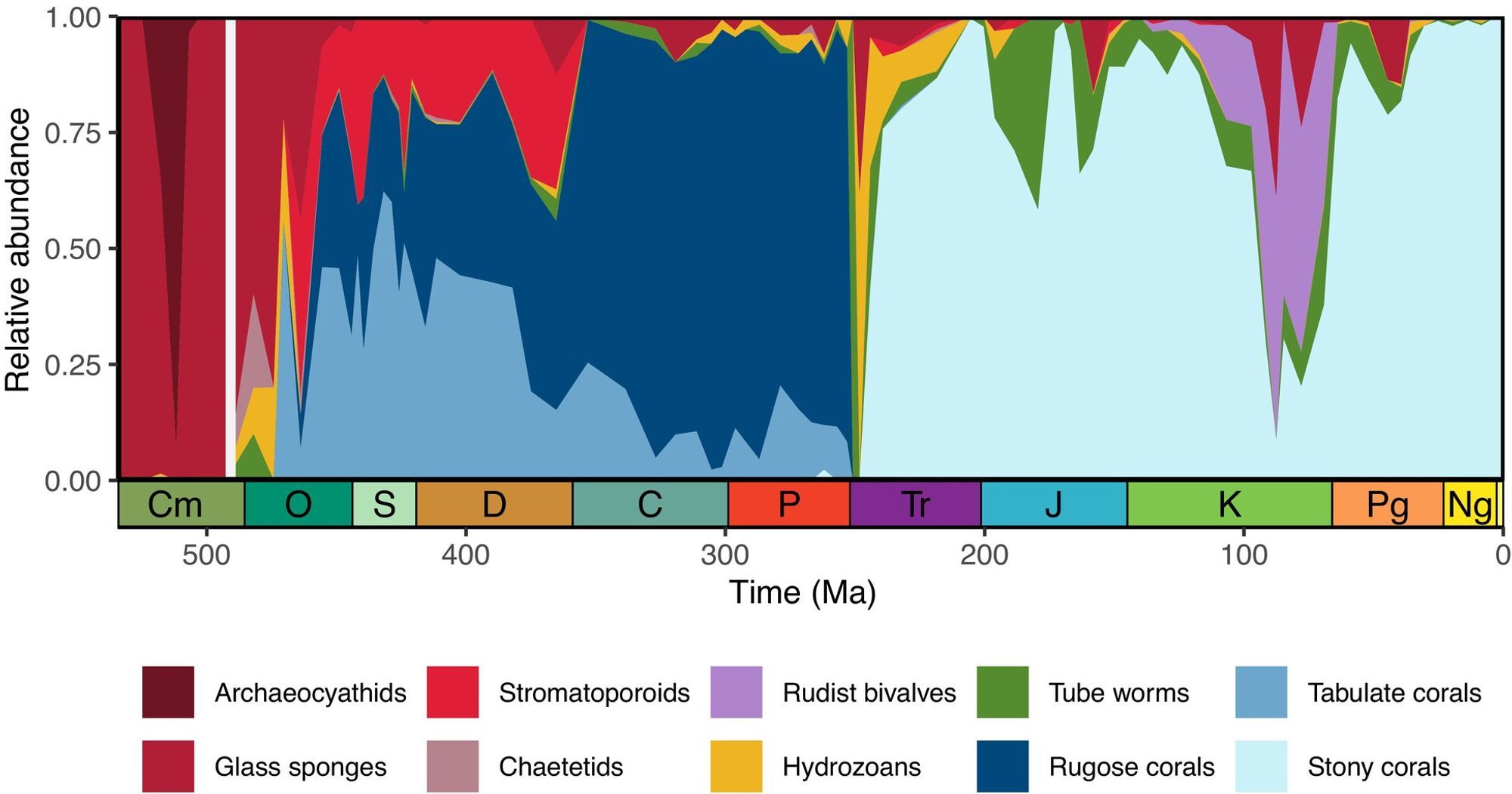 Reef builders through the Phanerozoic Eon.