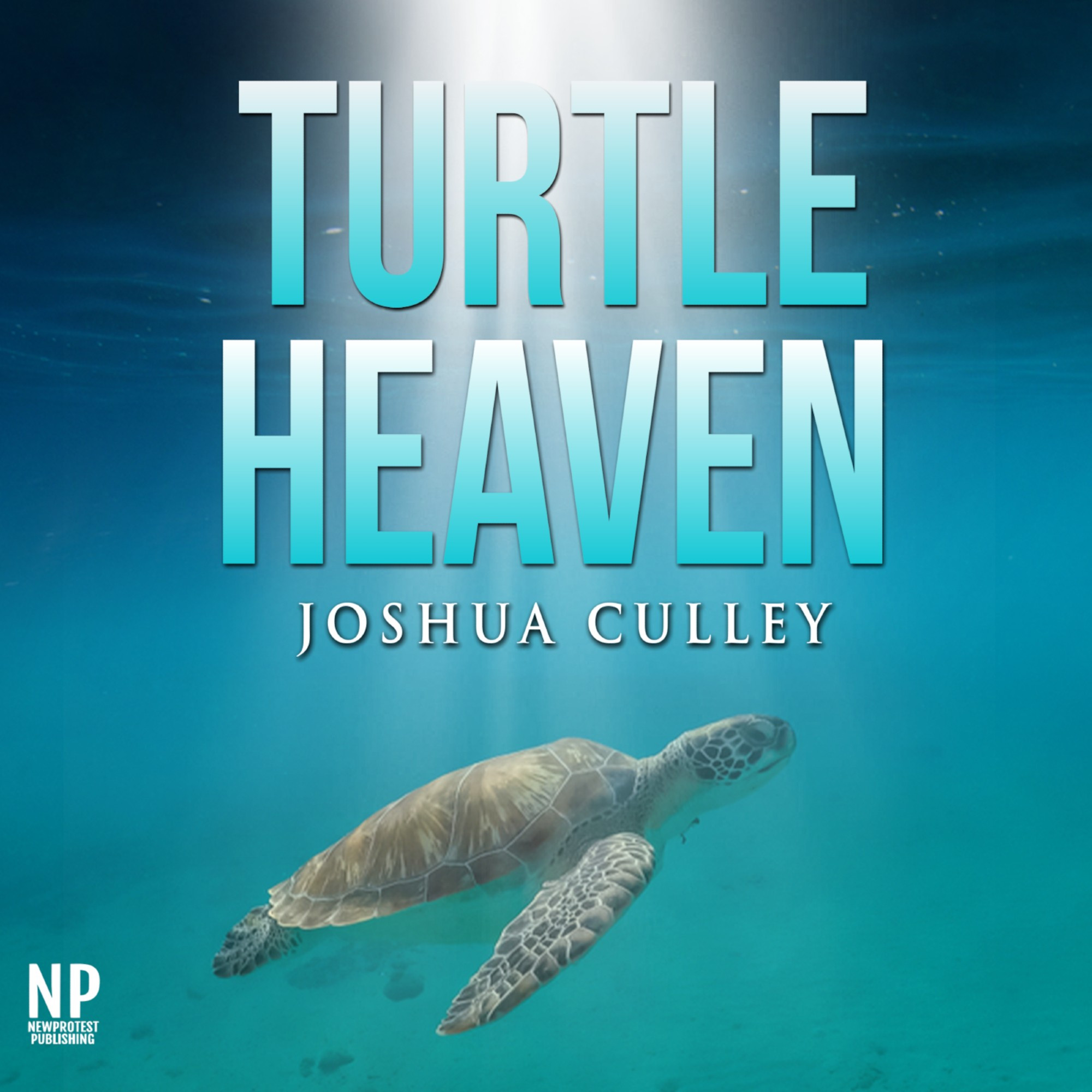 Cover of Turtle Heaven.