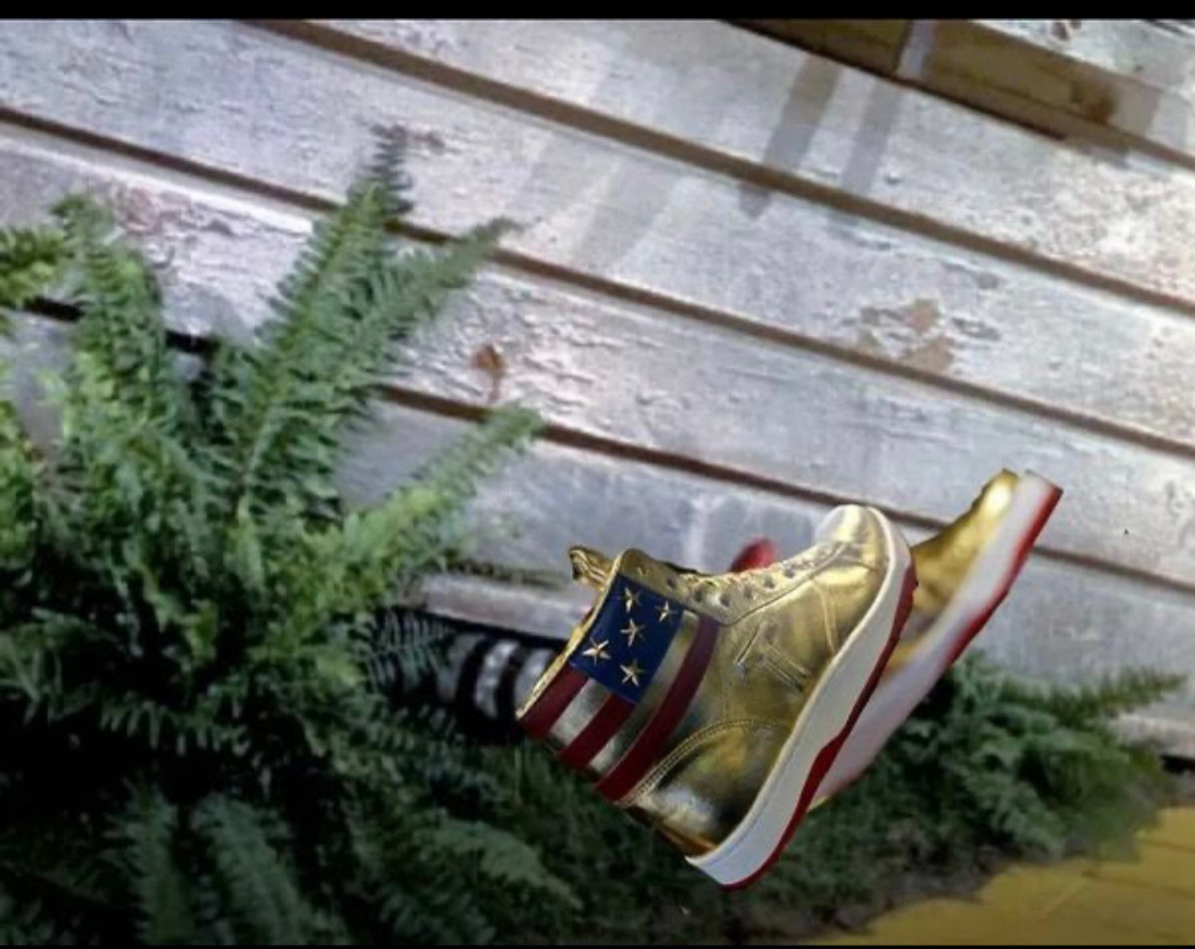 TFG’s Chinese made Gold sneakers

Crushed by a house in a tornado 🌪️ 
