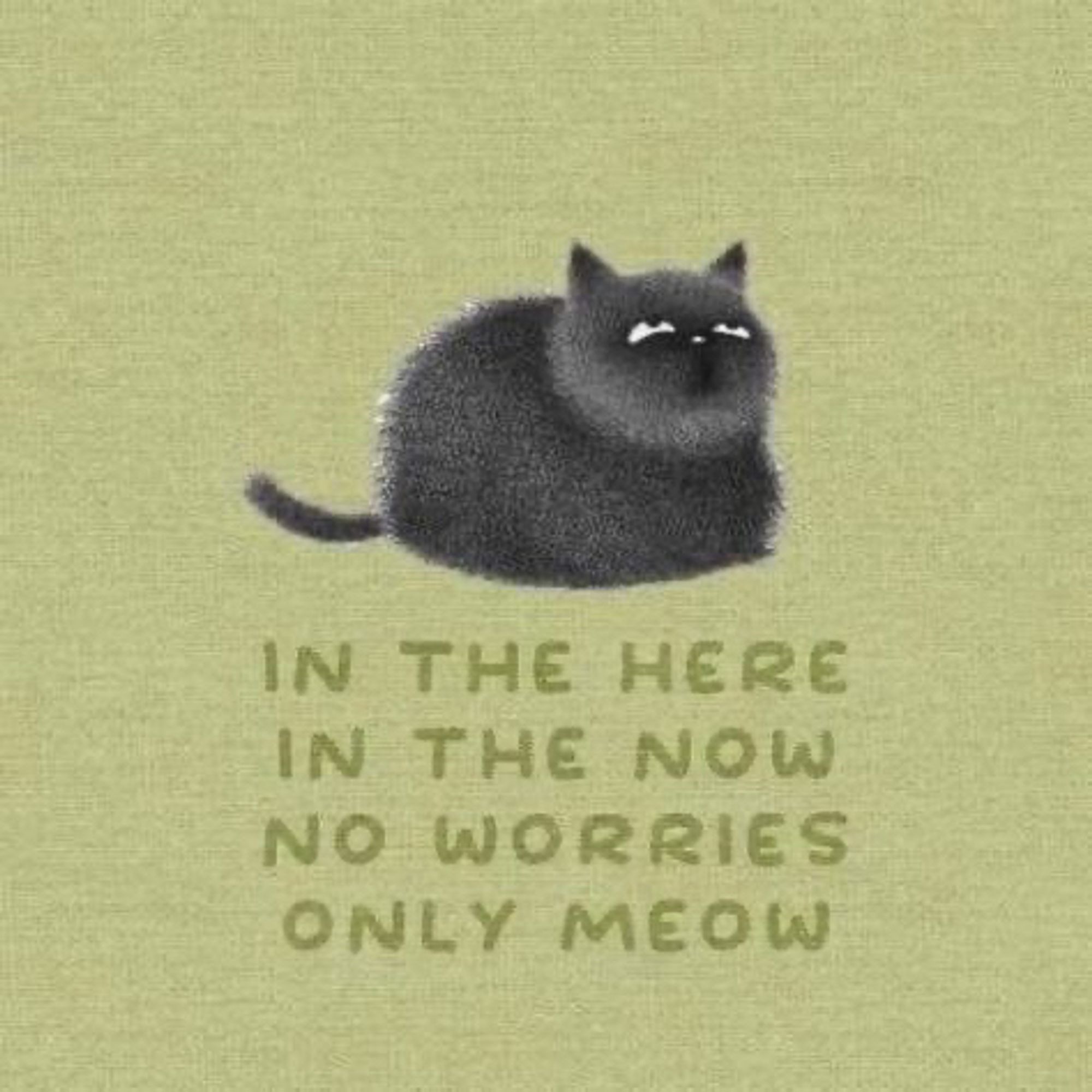 Illustrazione con gattino nero seduto "a pagnotta", e didascalia:
in the here
in the now
no worries
only meow