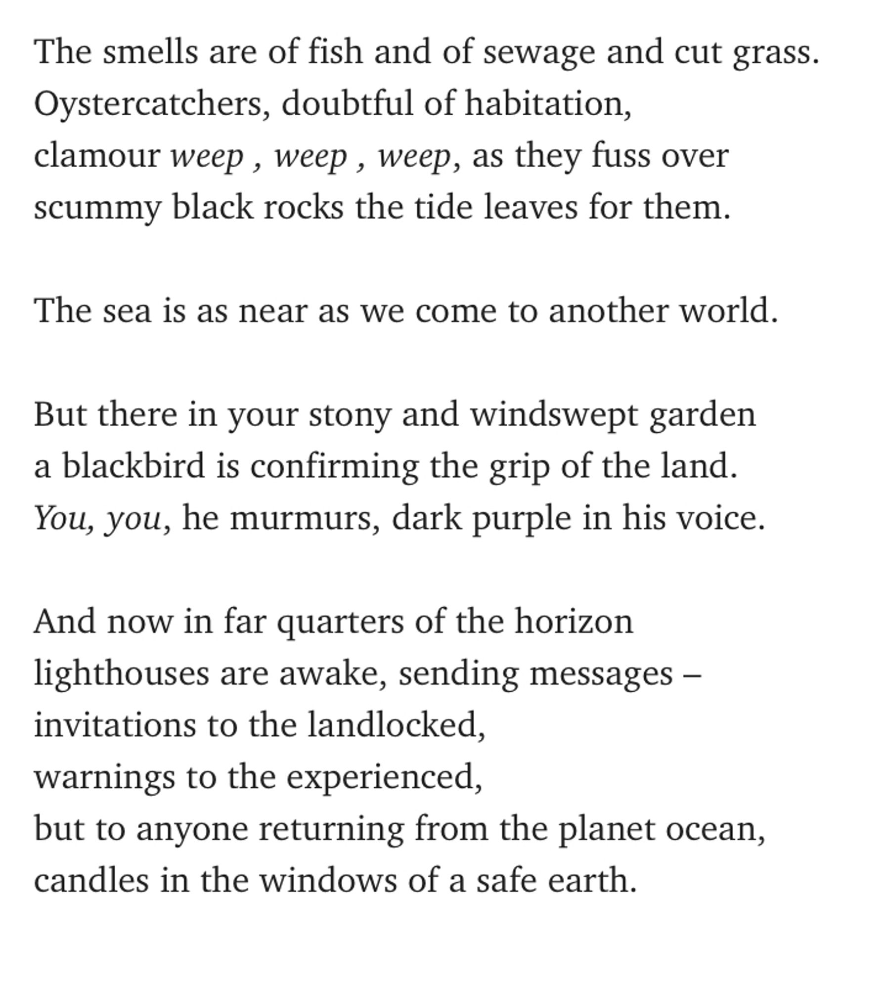 The smells are of fish and of sewage and cut grass.
Oystercatchers, doubtful of habitation,
clamour weep , weep , weep, as they fuss over
scummy black rocks the tide leaves for them.

The sea is as near as we come to another world.

But there in your stony and windswept garden
a blackbird is confirming the grip of the land.
You, you, he murmurs, dark purple in his voice.

And now in far quarters of the horizon
lighthouses are awake, sending messages –
invitations to the landlocked,
warnings to the experienced,
but to anyone returning from the planet ocean,
candles in the windows of a safe earth.