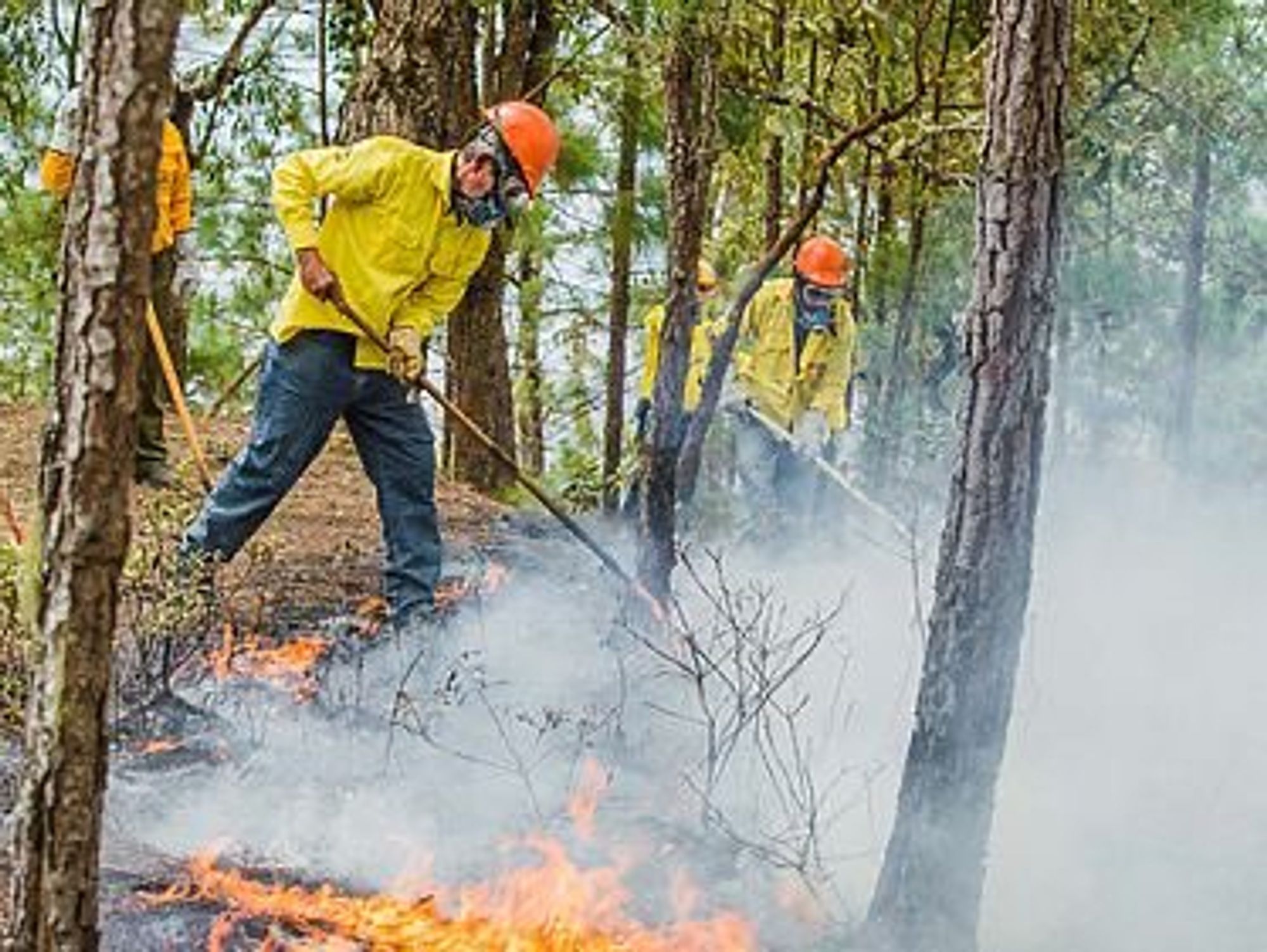 Feuerwehrmänner im Wald in Guatemala beim Feuer löschen