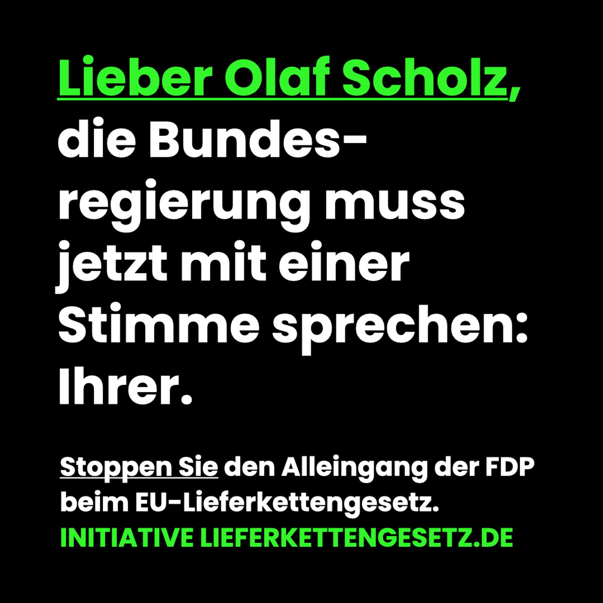 Lieber Olaf Scholz, die Bundesregierung muss jetzt mit einer Stimme sprechen: Ihrer.

Stoppen Sie den Alleingang der FDP beim EU-Lieferkettengesetz.
InitiativeLieferkettengesetz.de