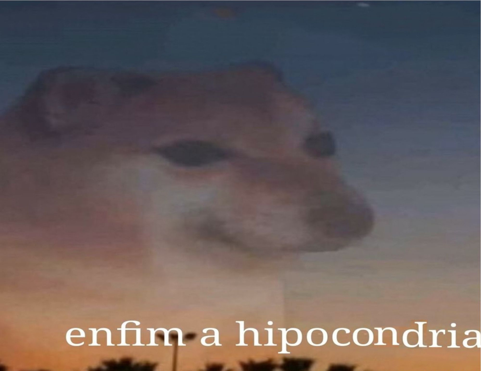 enfim a hipocondria