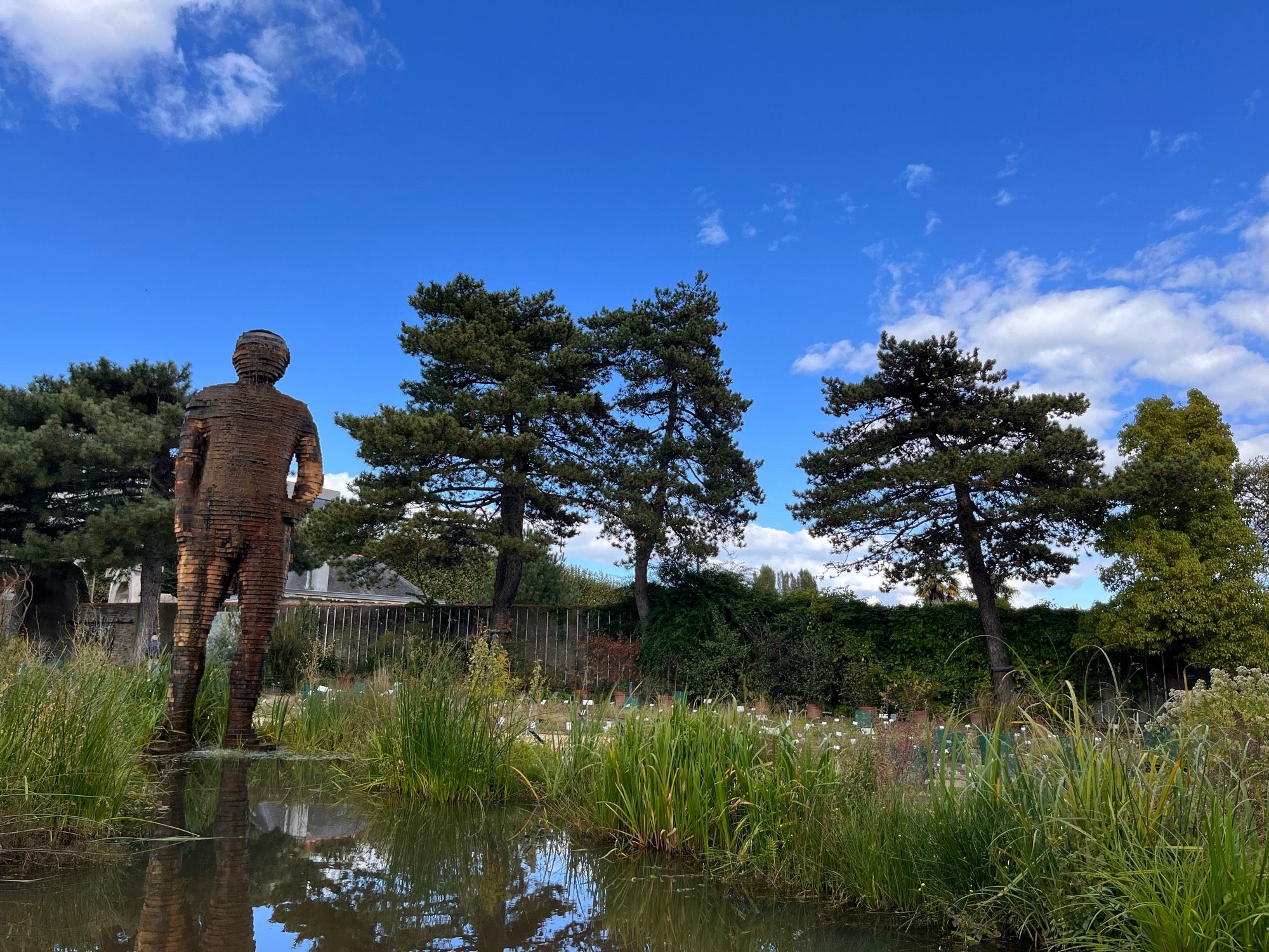 Homme en bois devant une mare