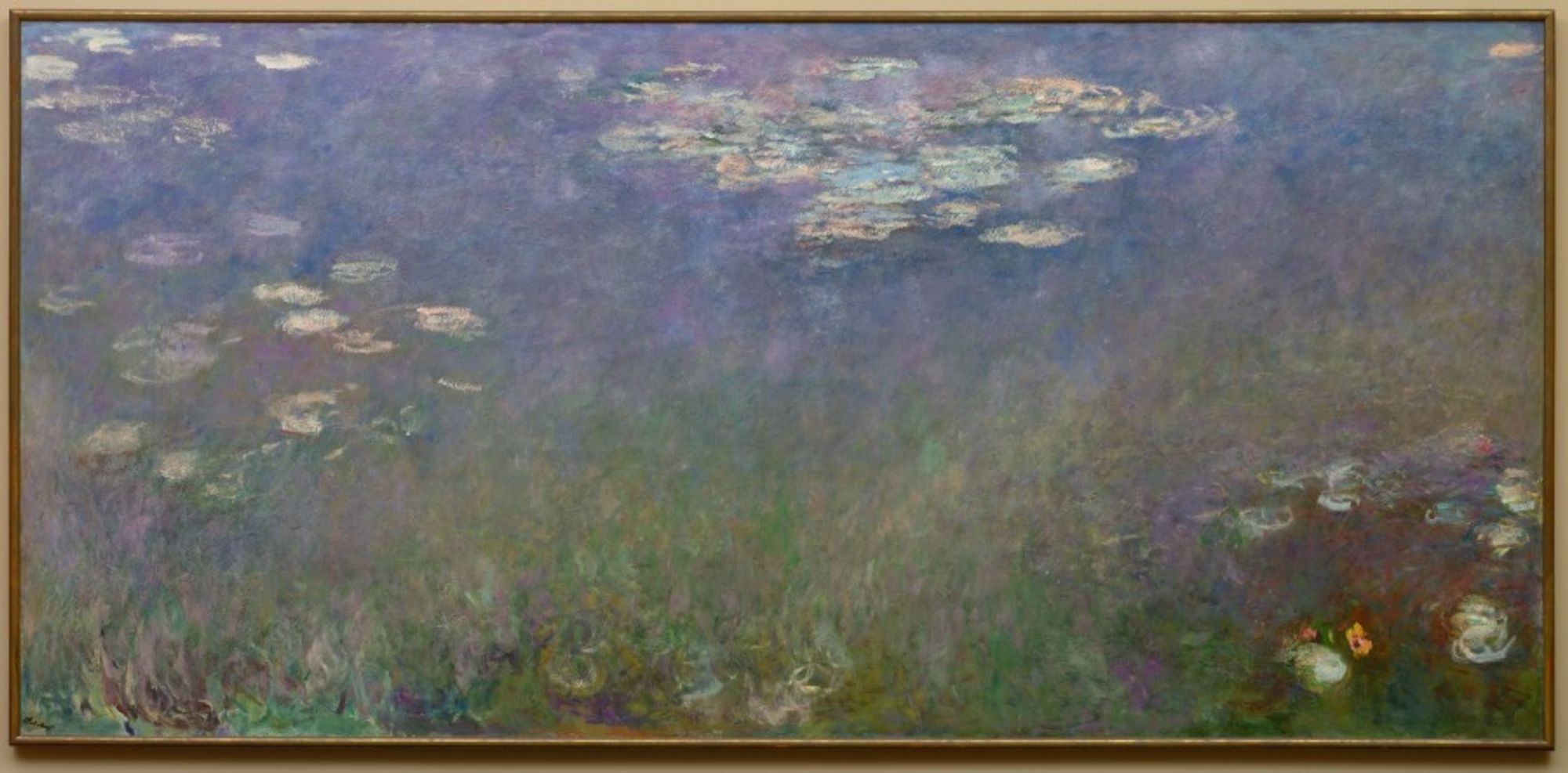 Monet spent the last thirty years of his life painting the lily pond at his home in Giverny, a small town on the river Seine, just north of Paris. While his initial exploration of the water lily theme (1902-8) produced smaller works more descriptive of a garden setting, the later paintings focus on the water's shimmering surface, indicating the surrounding trees and lush bank only through reflections. Here reflection and reality merge in strokes of blue, violet, and green. Fronds of water plants sway underwater and passing clouds are reflected above. By 1915 Monet had conceived a plan, called his Grande Décoration, for arranging a series of monumental water lily paintings in an oval room, thus creating a continuous panorama that would surround and enclose the viewer in an environment of pure color. That installation is located in two oval rooms in the Musée de l'Orangerie in Paris. Cleveland's painting is the left panel of a three-part variation on this water lily theme. Its companions are now in the St. Louis Art Museum and the Nelson-Atkins Museum in Kansas City, Missouri.