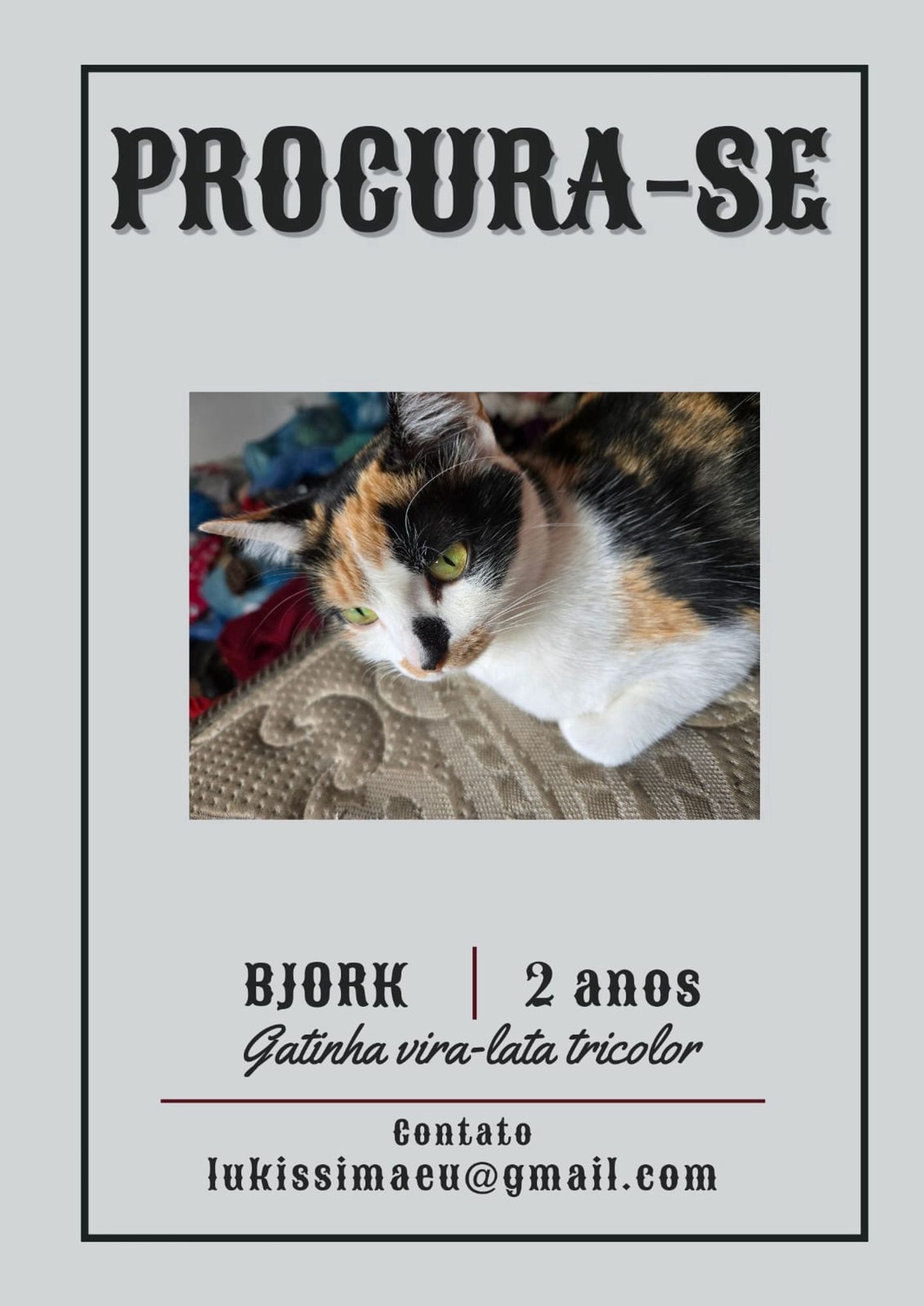 foto de uma gata tricolor de olhos verdes de porte pequeno chamada björk que está desaparecida, um e-mail de contato logo abaixo da imagem chamado lukissimaeu@gmail