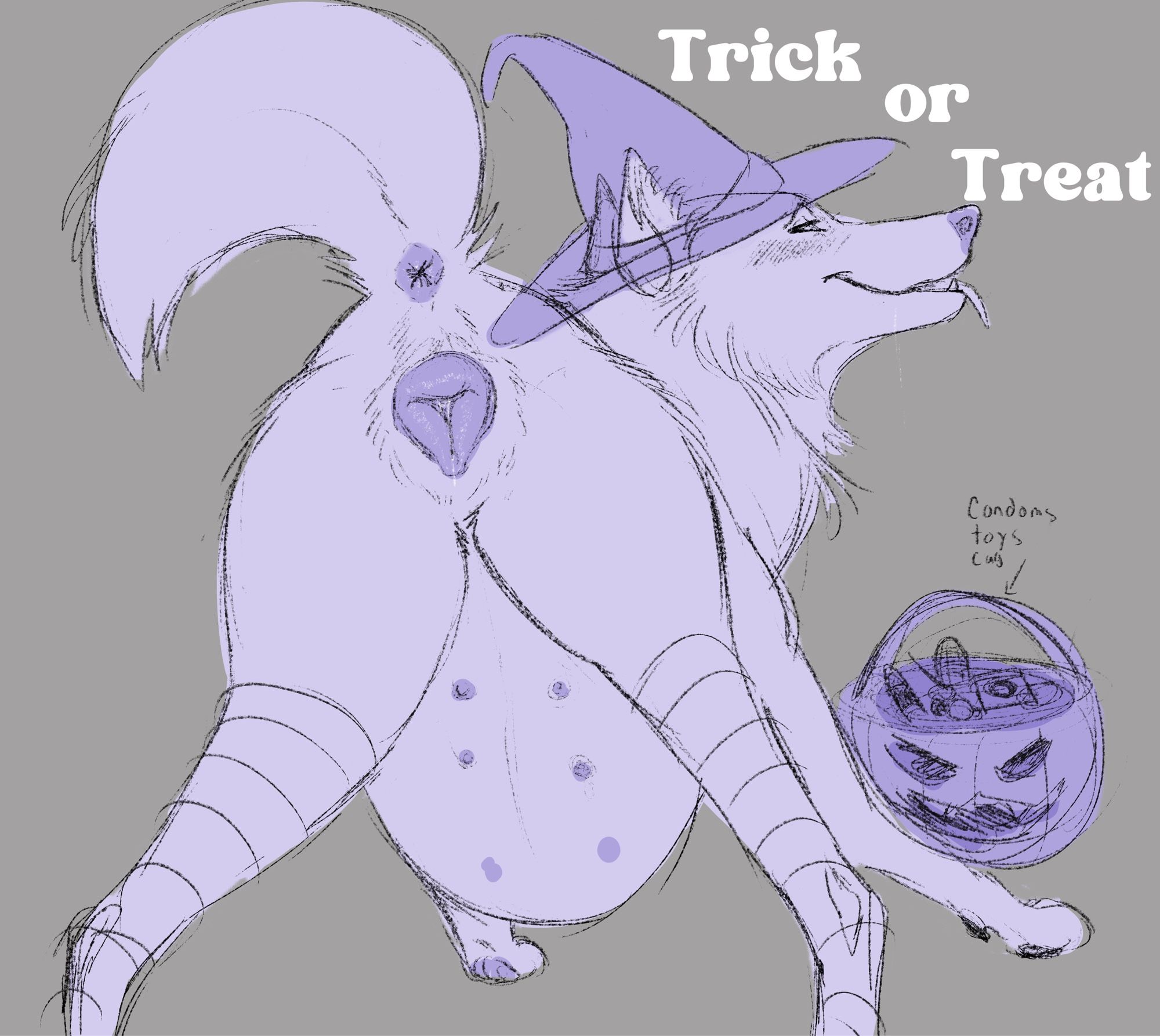 A feral canine bending over showing their bits to the audience. A halloween hat and a bucket of treats are shown.