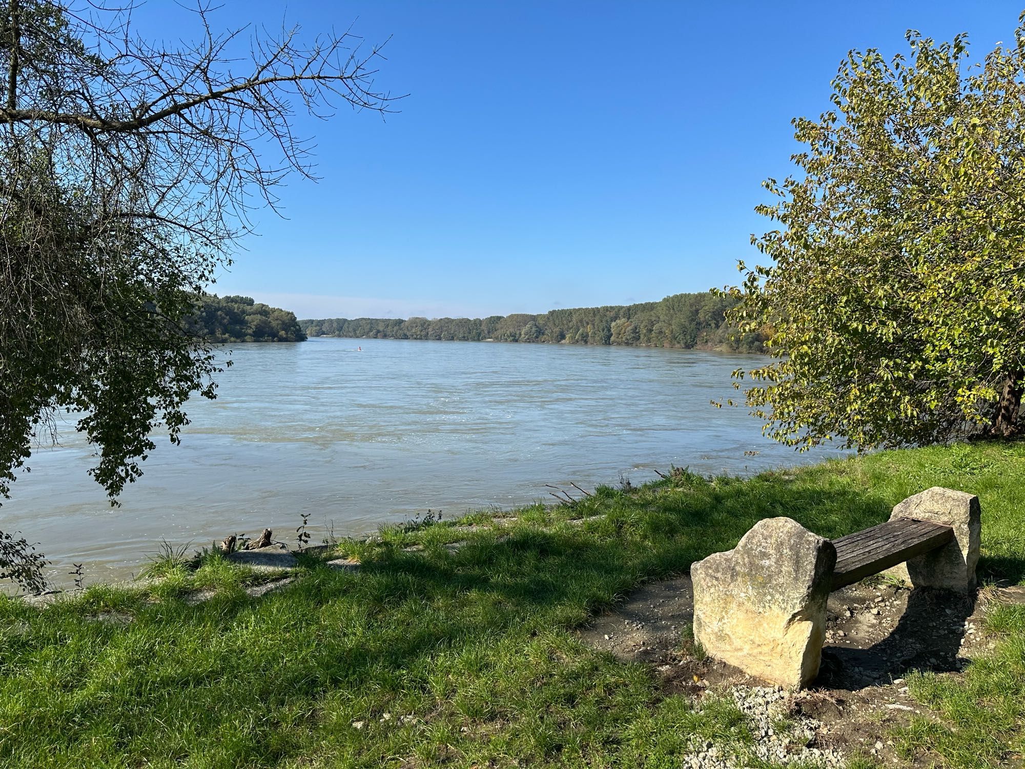 A bench overlooking the Danube river 