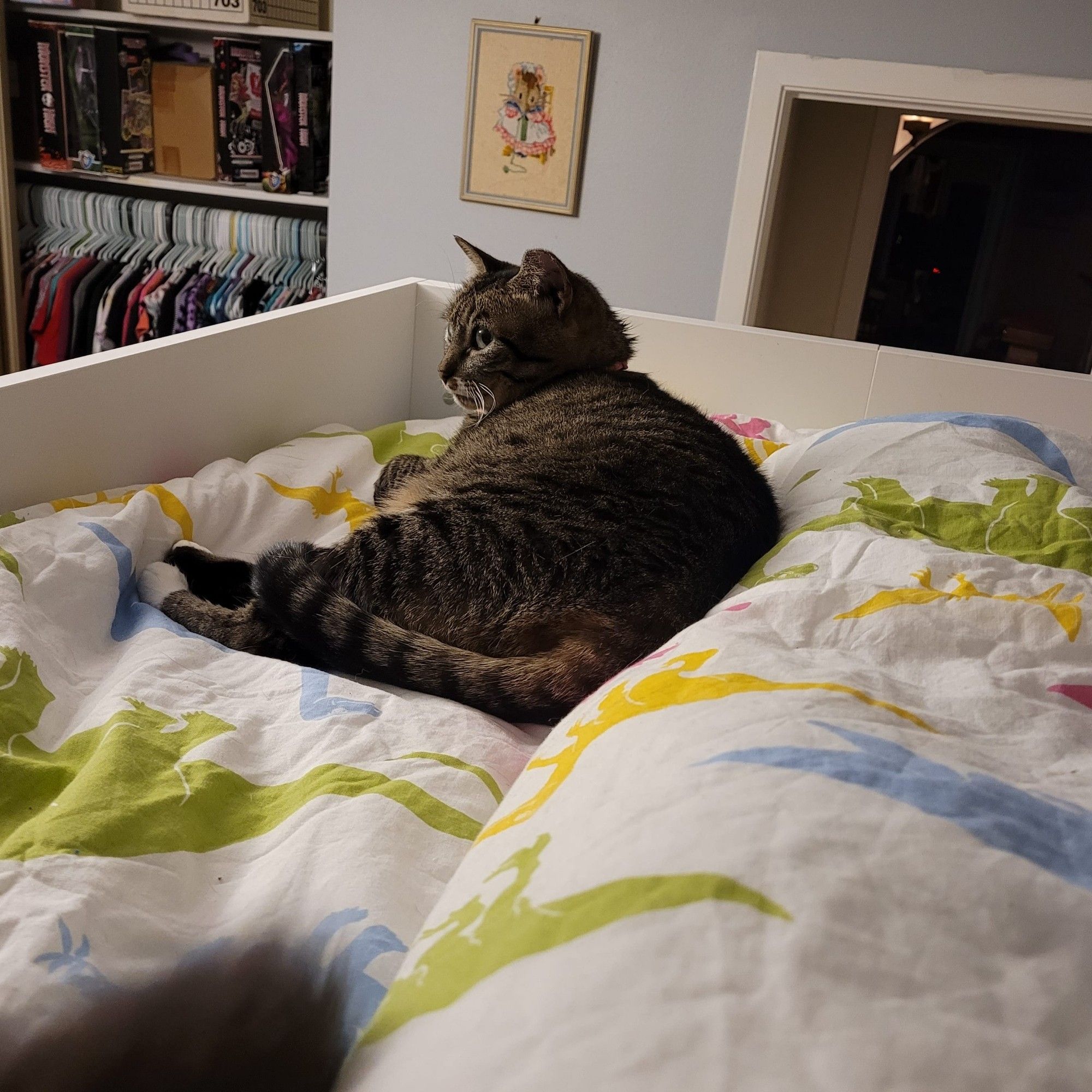 Tini, a small brown striped tabby with white markings, lounges on a colorful dinosaur printed duvet up on a Stuva loft bed. A brown fluffy tail can be seen in the lower left corner.