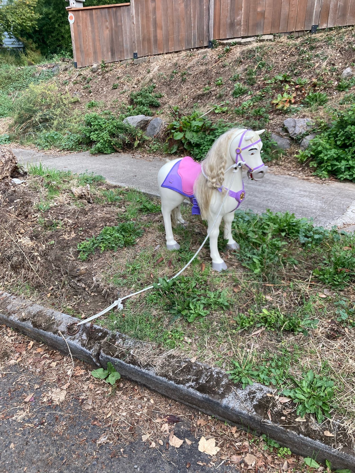 toy pony the size of a medium/large dog hitched to the loop on the curb