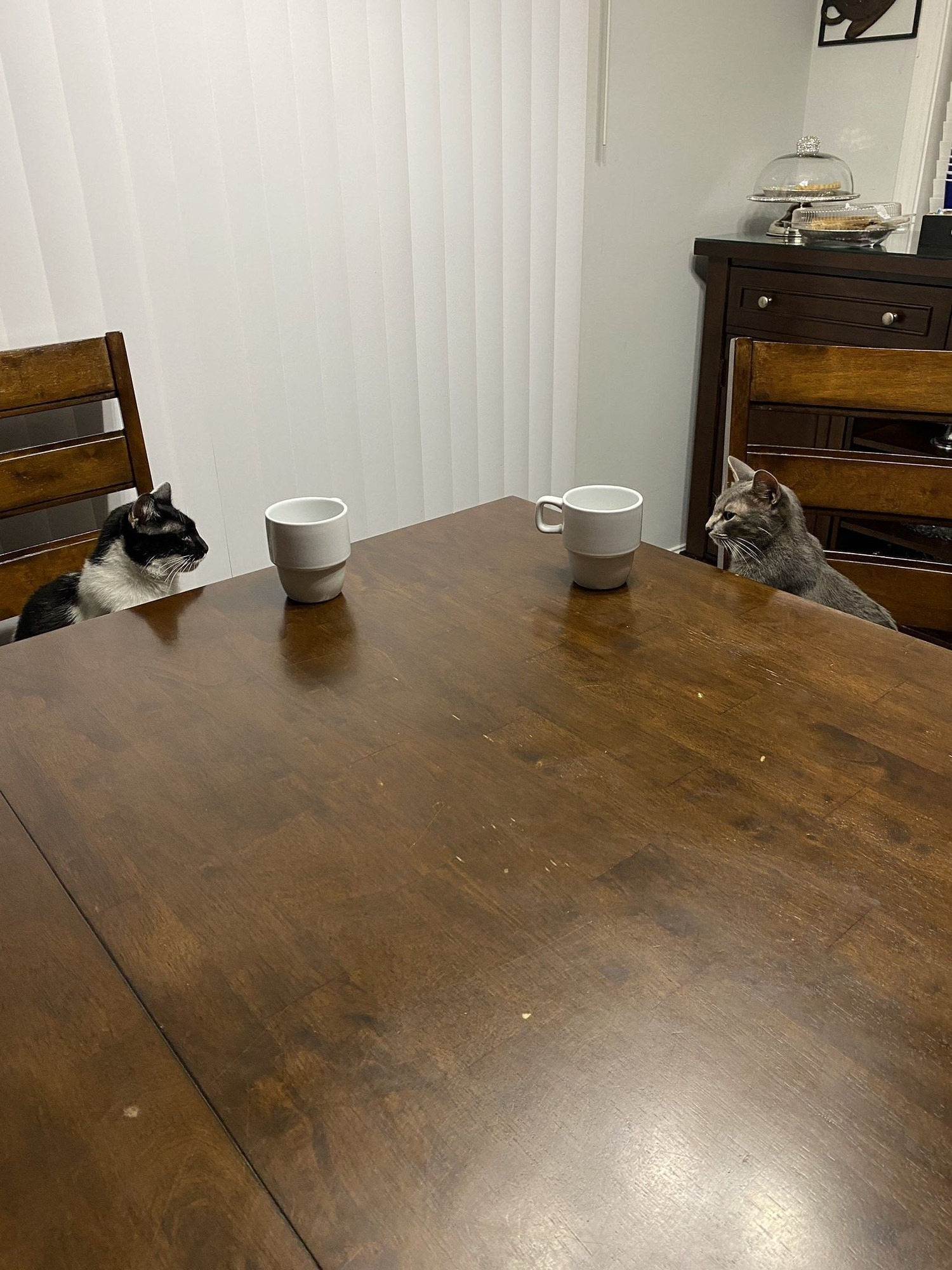 Two cats sitting around a table next to a cup of tea or coffee each