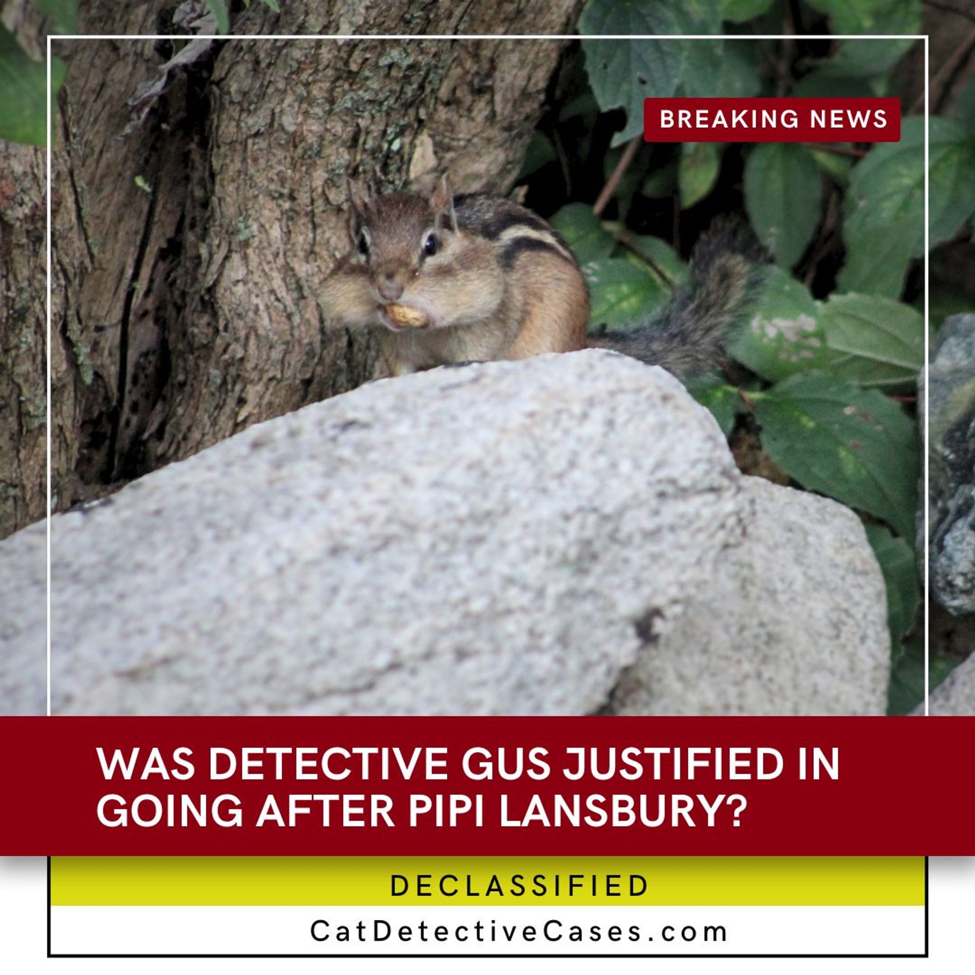 a chipmunk with a large peanut across its mouth unable to close its jaws sits on top of a small stack of rocks in front of a bush; "breaking news" in top right; "Was Gus justified in his actions going after Pipi Lansbury?" Declassified. CatDetectiveCases.com