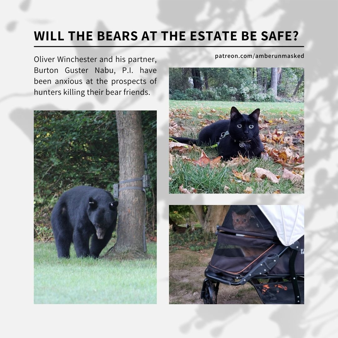 Collage: in all capitals, "Will the bears at the estate be safe?" In a smaller paragraph: "Oliver Winchester and his partner, Burton Guster Nabu, P.I. have been anxious at the prospects of hunters killing their bear friends." 3 images: a black bear leaning against a tree with his head looking down showing that both ears have silver tags on them; black cat Gus lying in the grass and fall leaves; orange and white tabby Oliver in his carriage.