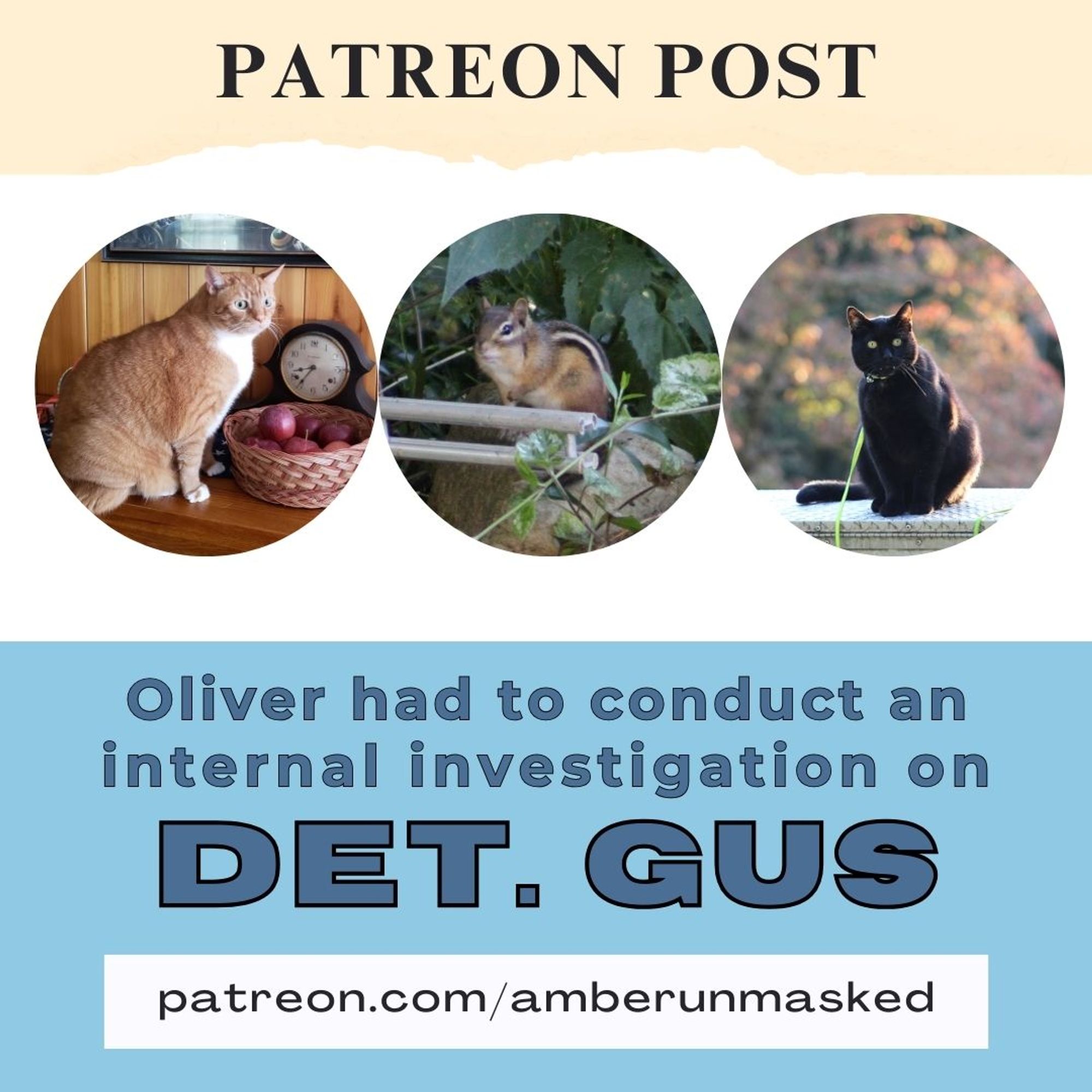 collage: torn paper across the top "Patreon Post"; 3 images in circle frames: orange and white cat Oliver, a chipmunk on a short pile of rocks in front of a leafy bush, black cat Gus sitting up against a background of colorful trees; bold text: Oliver had to conduct an internal investigation on Det. Gus; patreon.com/amberunmasked