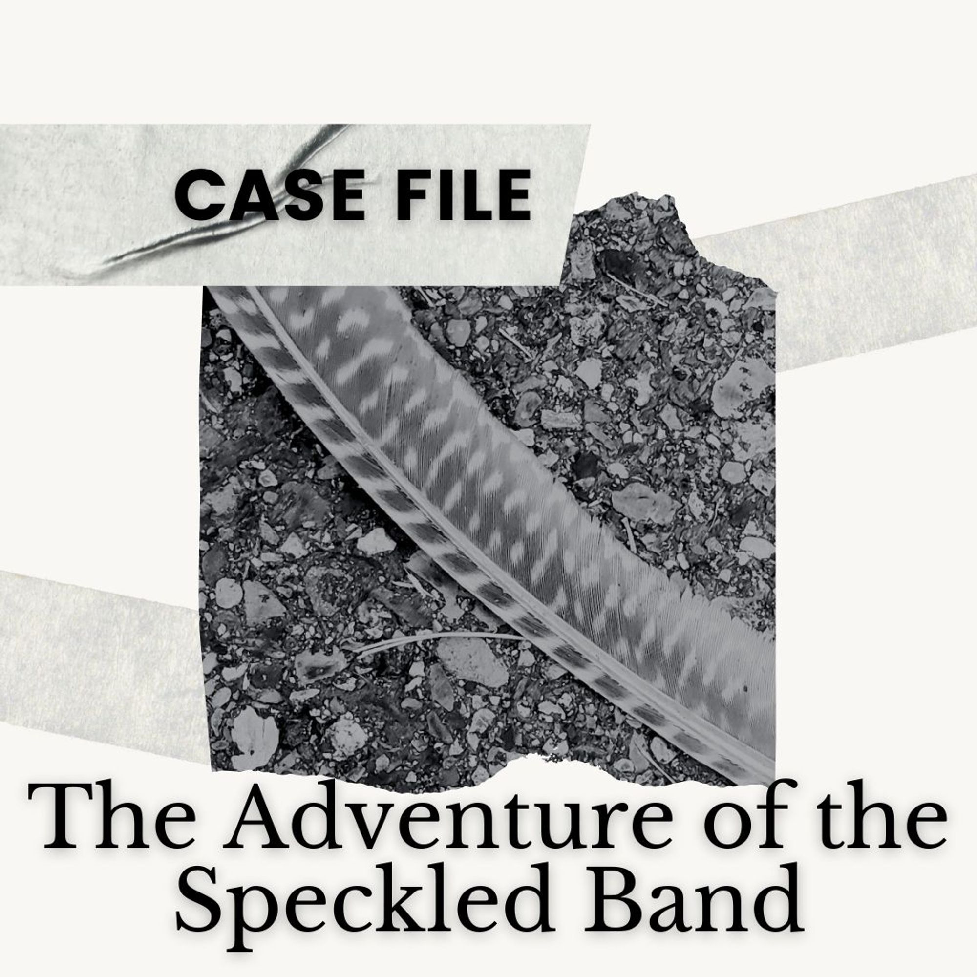 black and white photo of a speckled feather up close on pavement on a background that looks like paper and tape; text: Case File. The Adventure of the Speckled Band