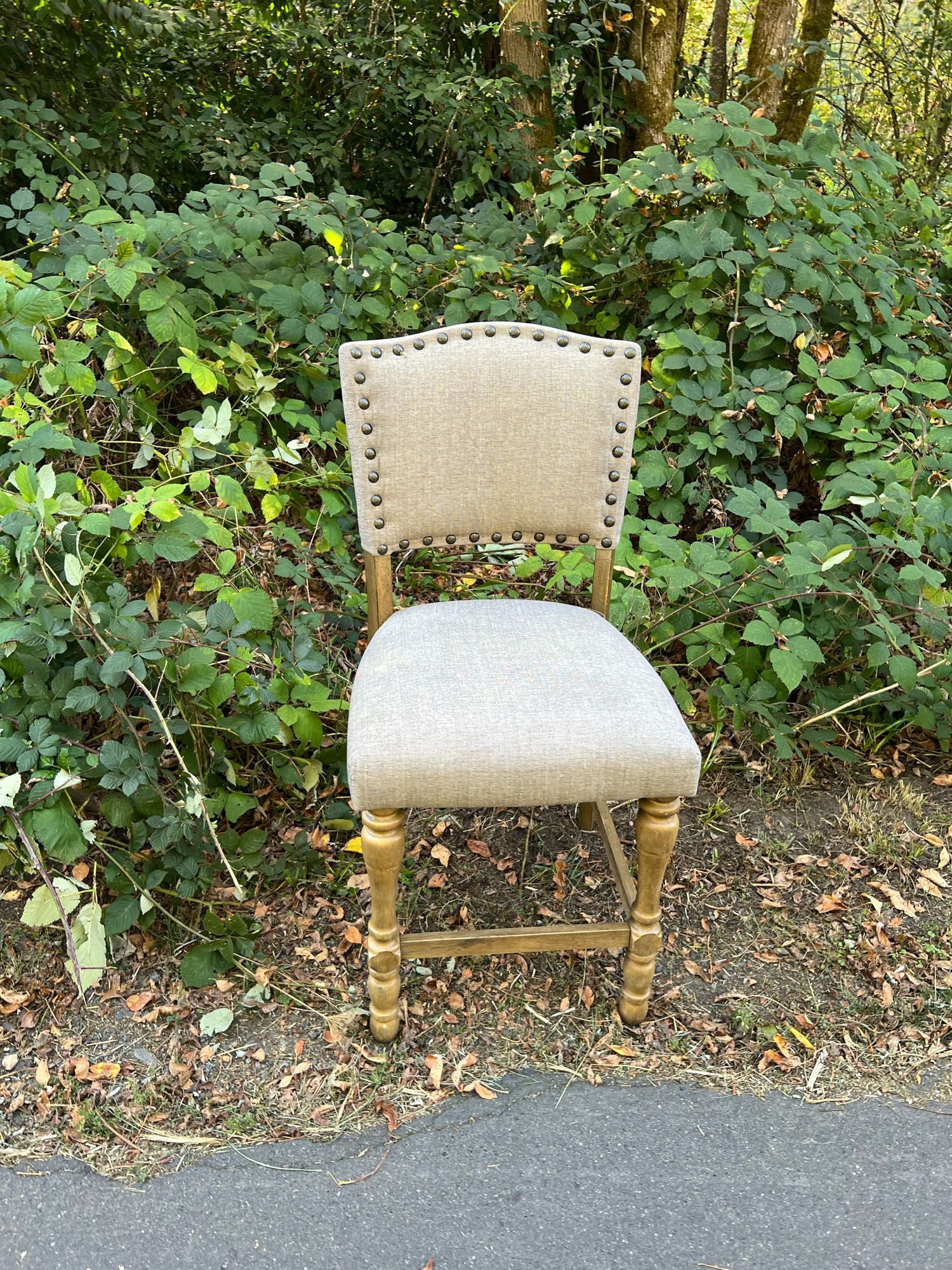 A chair by the side of the road, it has a grey upholstered seat and back and a wooden legs. It's pretty clean for an abandoned chair. Behind it is a mass of blackberry bushes