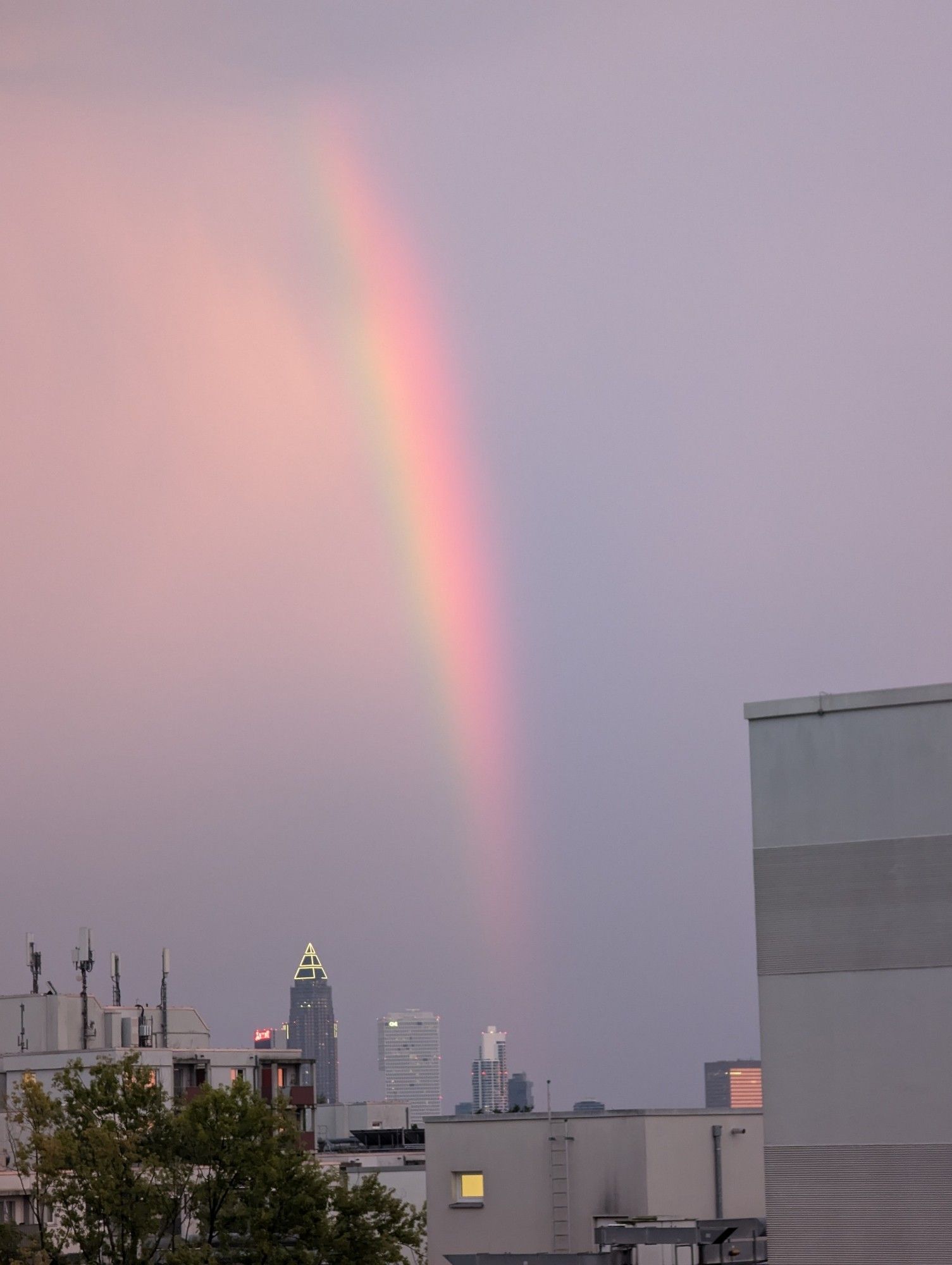 Regenbogen über Frankfurt