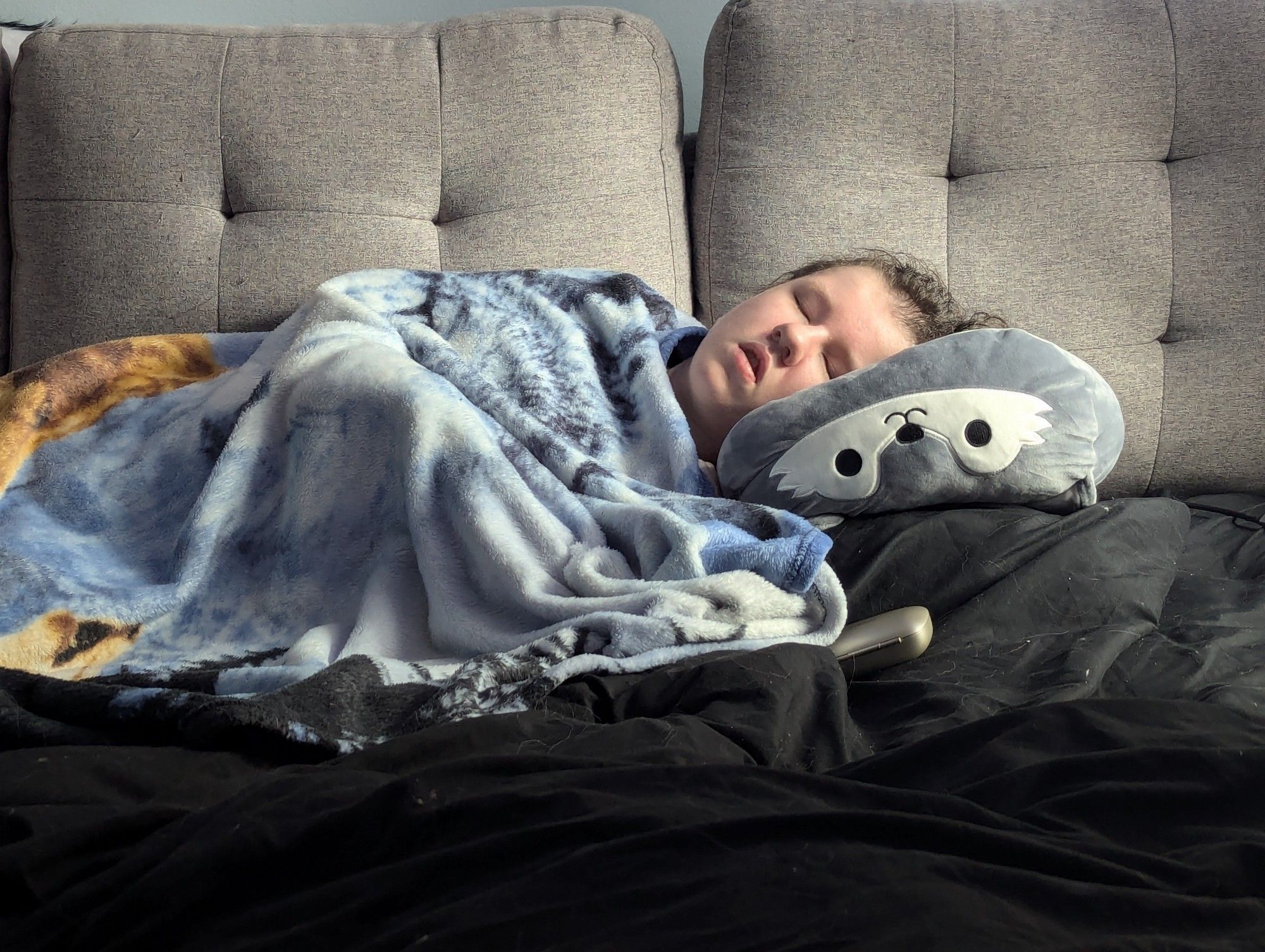 A photo of Momo snuggled under a blanket, asleep on the couch.