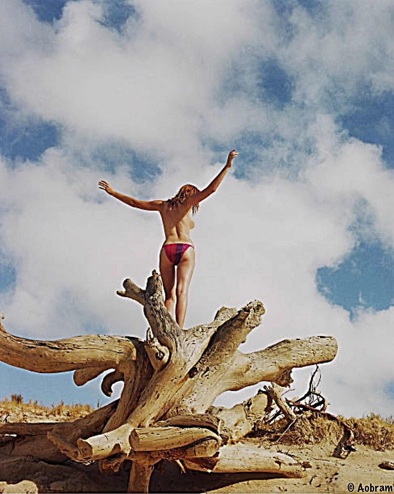 Lady on a dead tree trunk.