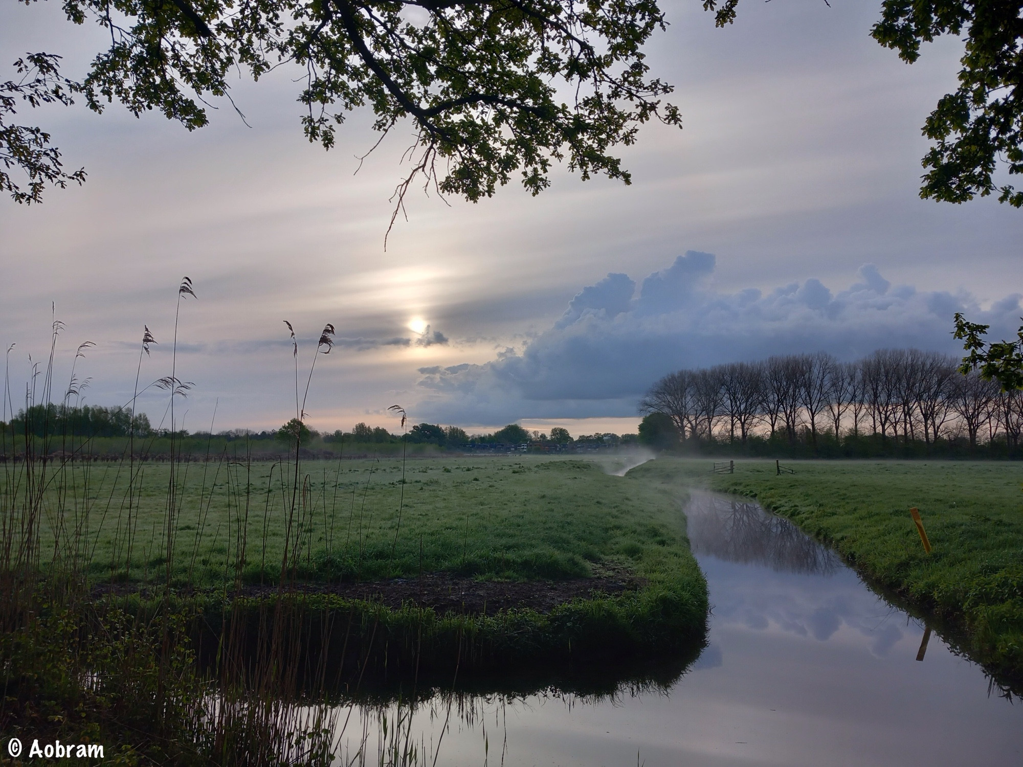 Laagstaande zon gedimd door wolkenlucht boven weiland en sloot met riet en rij met populieren aan de horizon.