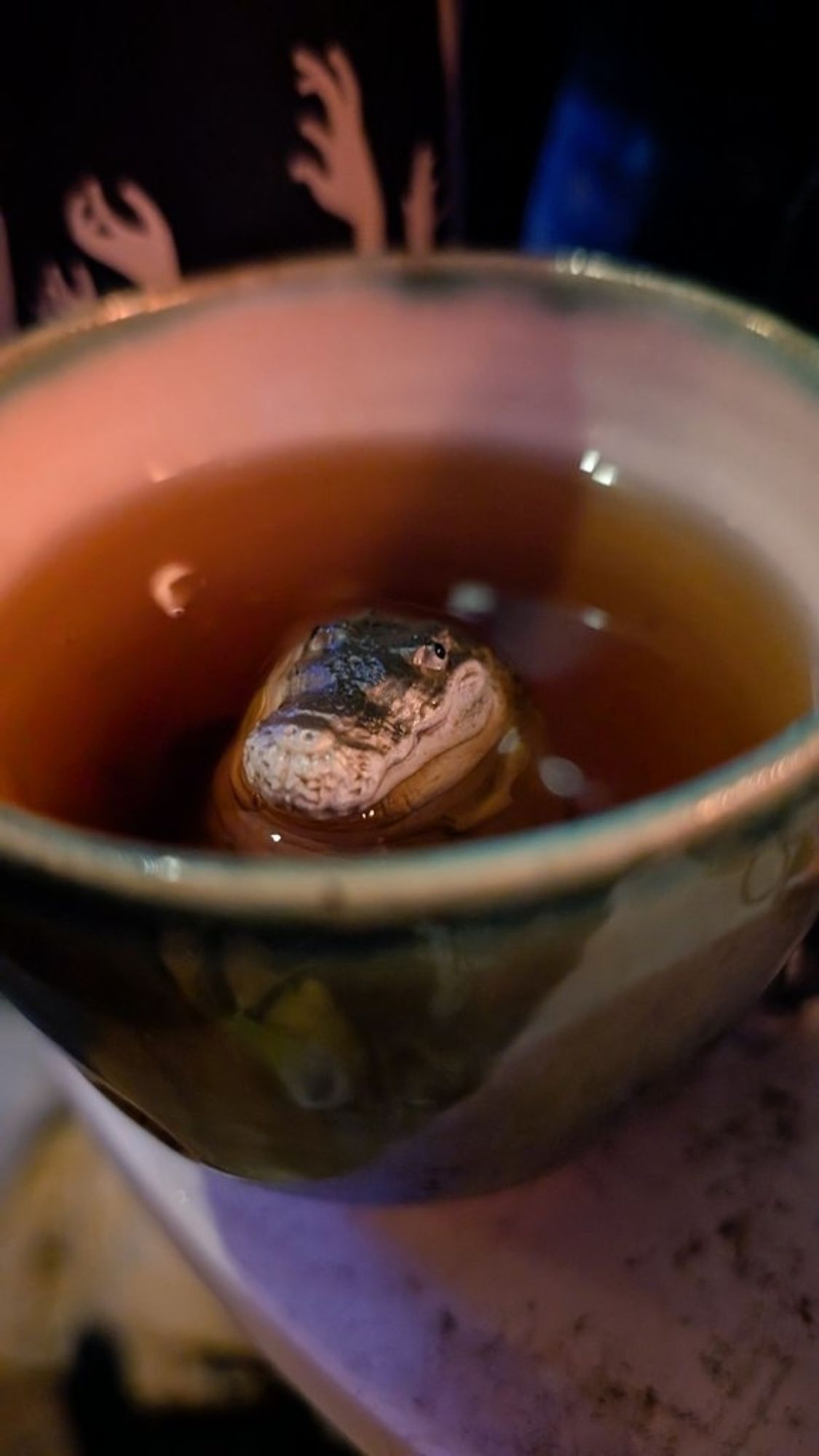 A chubby little crocodile figure sitting in a cup full of tea, the top of its head just sticking out.