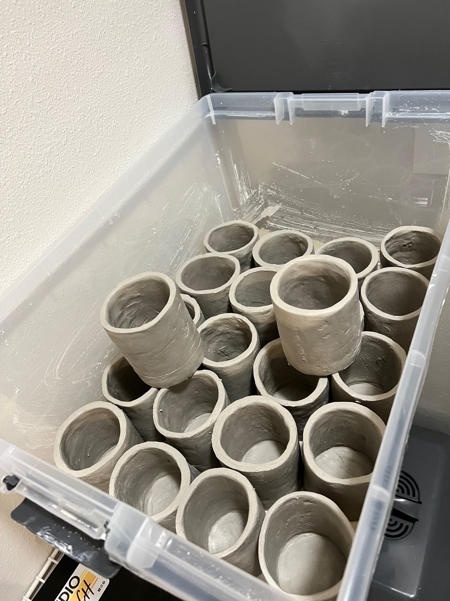 Wet box with 22 cups awaiting their next steps.