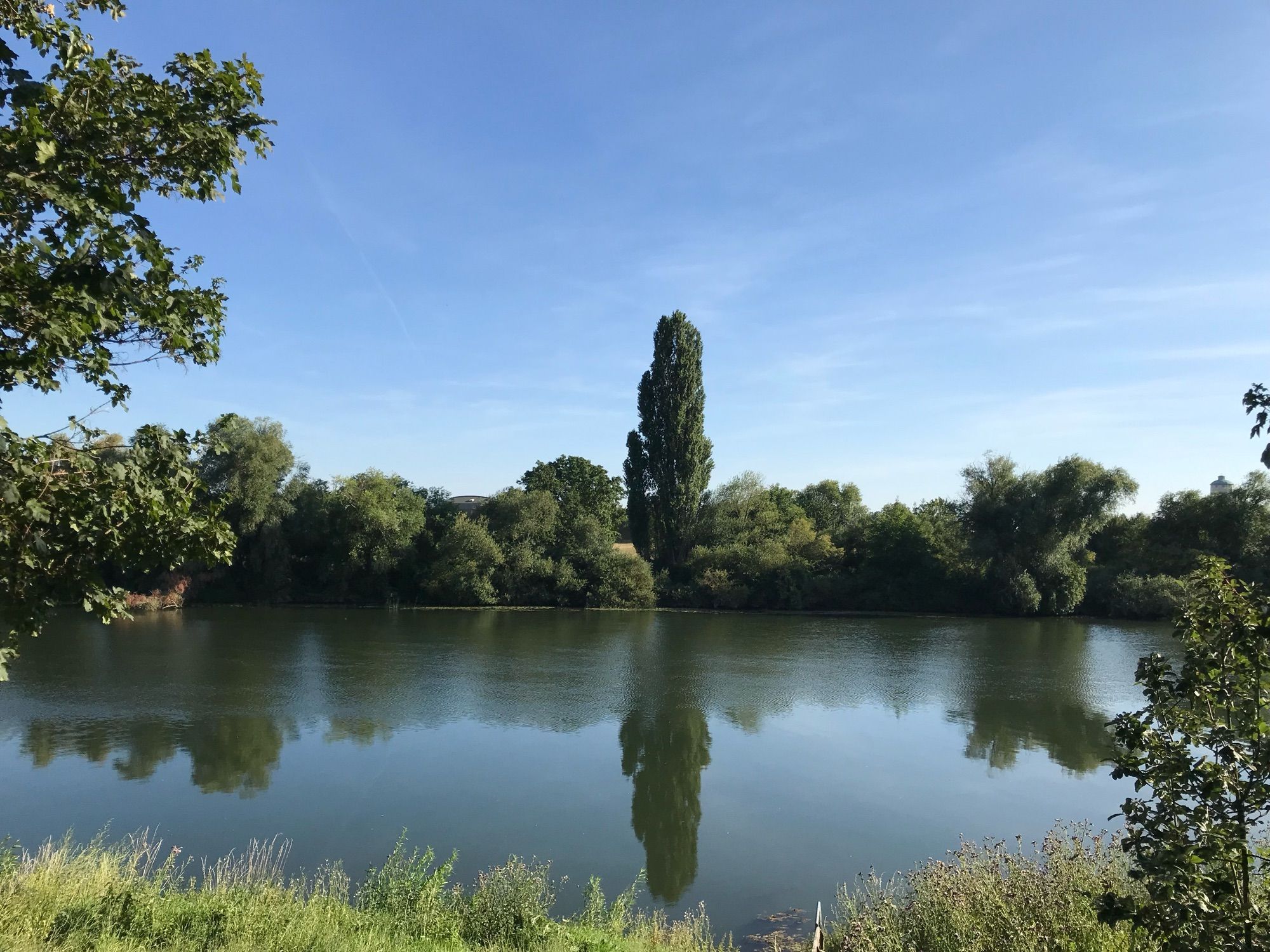 Reflections in the river.