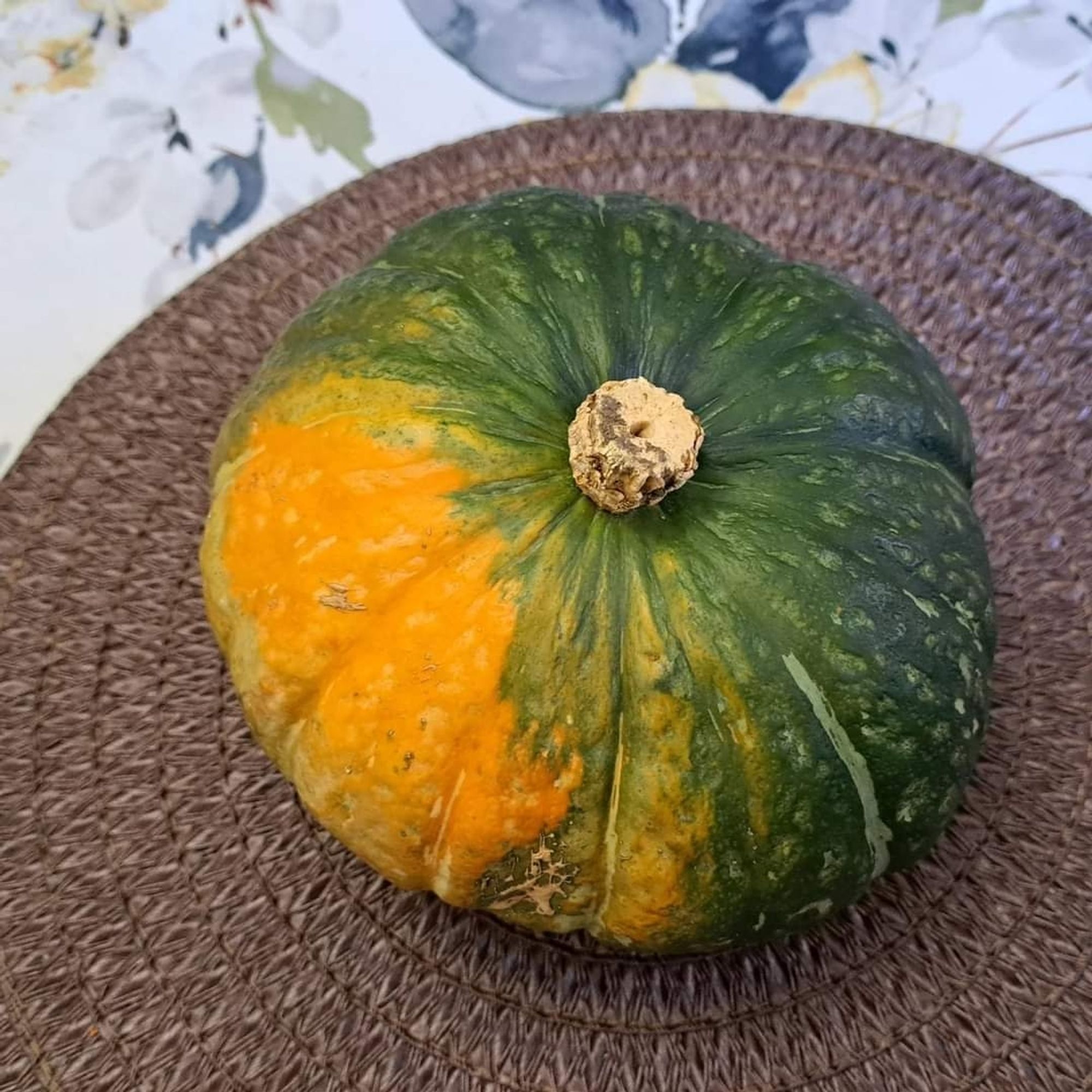 Image of a dark green and orange Kobacha squash on a brown placemat