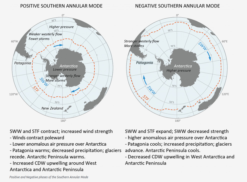 Pictures showing a positive Southern Annular mode - closer to Antarctica and a negative SAM which is further away from Antarctica l- larger circle - if the SAM is positive the circumpolar winds are closer to Antarctica, thereby pulling the southward part of the western boundary currents with them which leads to more warm water being transported poleward - short version!   