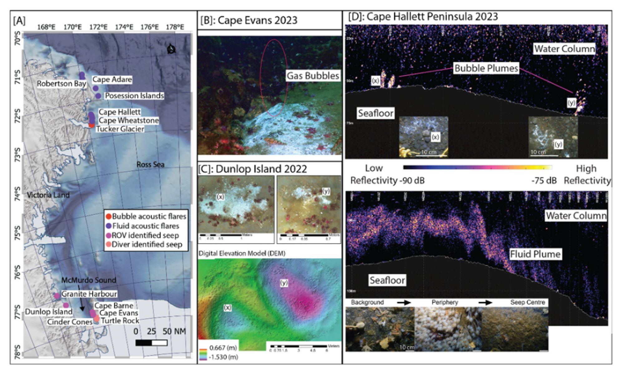 Select examples of seep discoveries to date across the Ross Sea coastal environment. (A): Map of recently observed discovered seep sites; (B) An emergent seep site at Cape Evans (23 m water depth), with microbial mats and gas bubbles escaping into the water column (see Supplemental Video 1). (C) Microbial mats (x and y) identified near Dunlop Island (30 m water depth), with a Digital Elevation Model (DEM) showing depressions in the seafloor, apparent seafloor pockmarks, associated with the seep site - the locations of the microbial mats are indicated in the DEM with x and y. (D) Acoustic signal of bubble and fluid plumes found offshore of Cape Hallett (top image: 50 – 60 m; bottom image: 190 m water depth) with inset images of the seafloor seep features corresponding to the bubble (indicated with x and y) and fluid plumes.