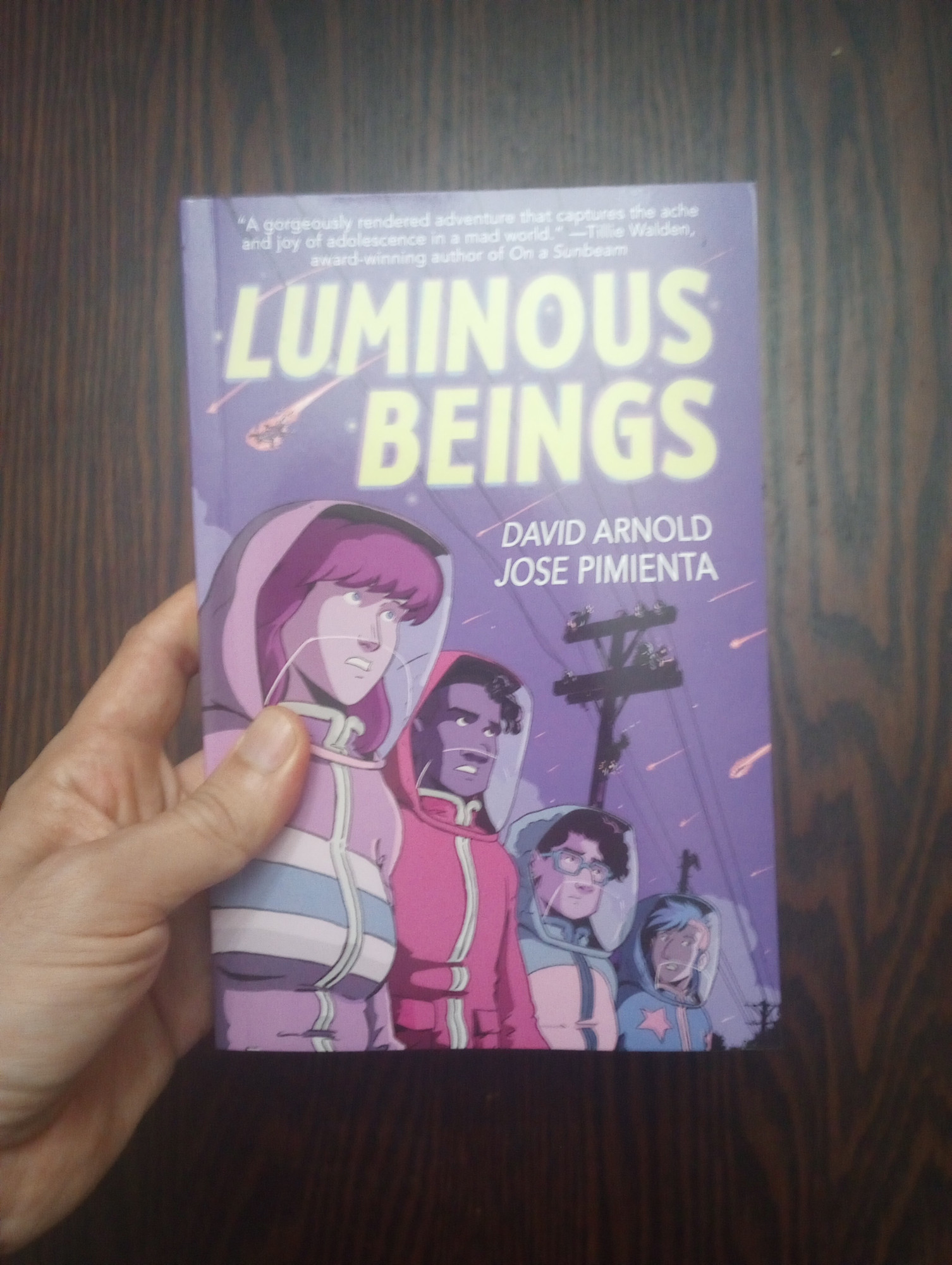 A picture of the cover of Luminous Beings.