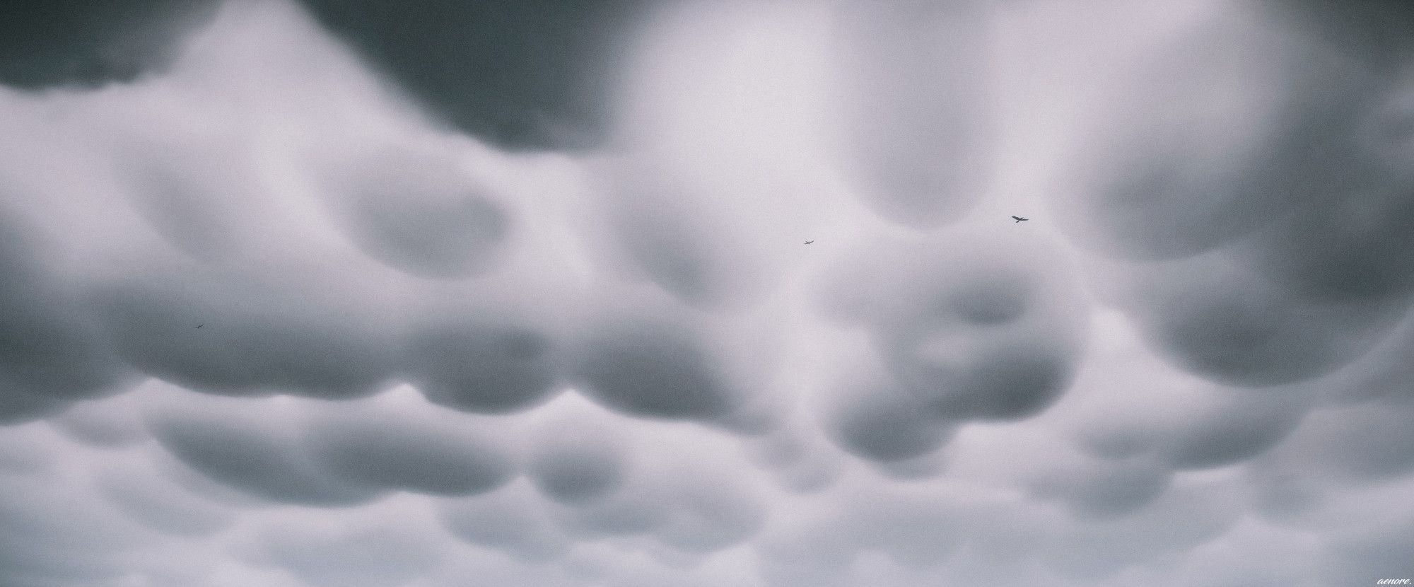 grey clouds looking like cushions, with three birds flying under them