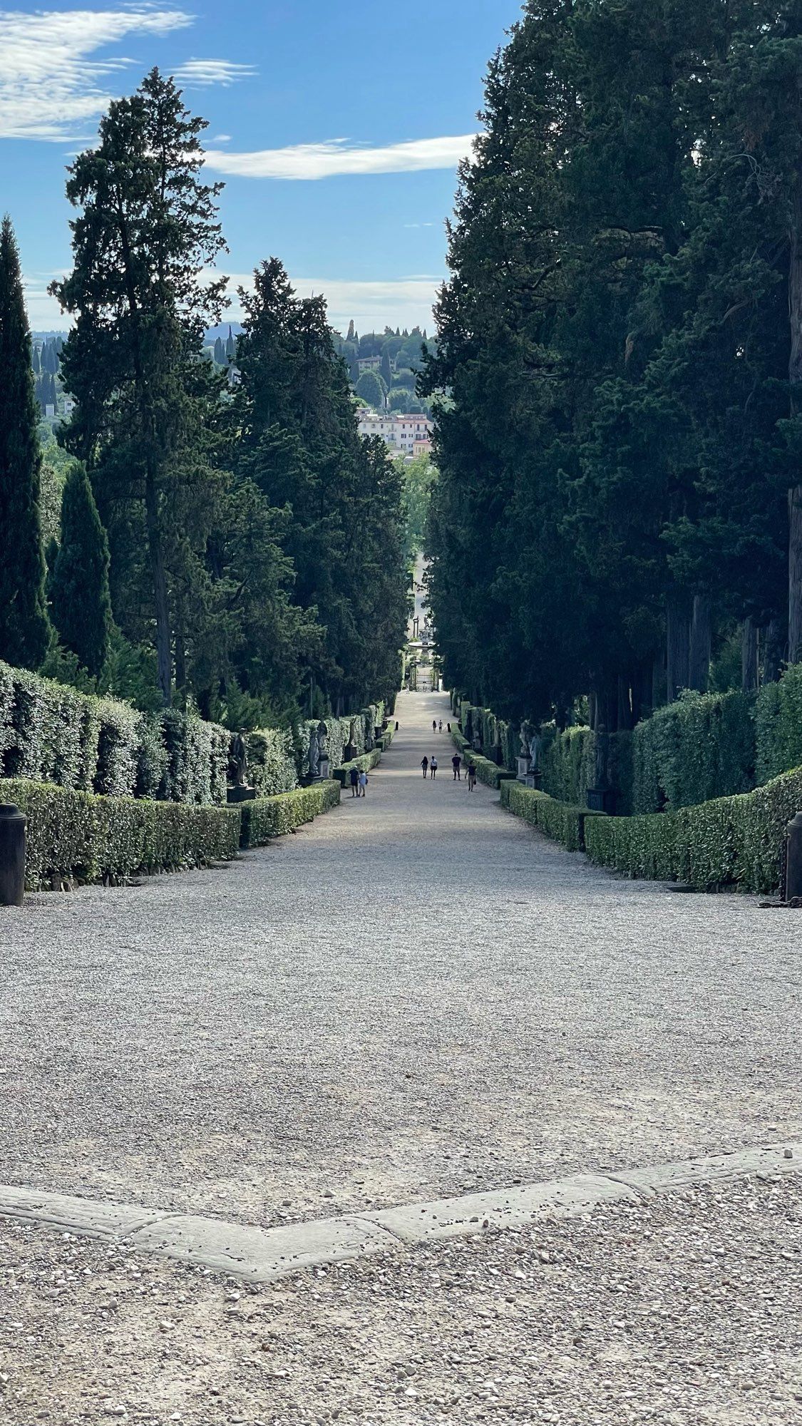 A long downward sweeping avenue in the Boboli Gardens in Florence, lined by hedges and trees.