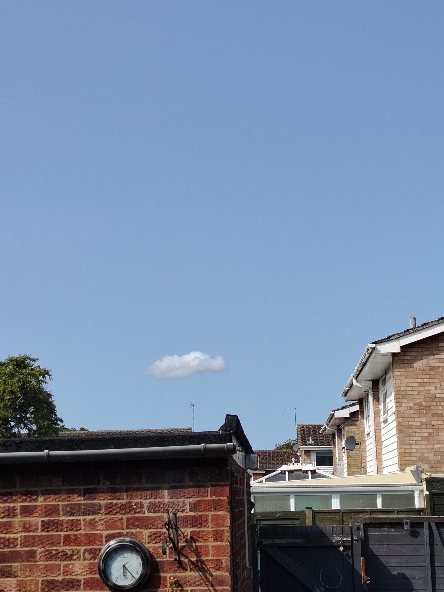 A view from a garden showing beautiful blue sky and a solitary, small, cloud.