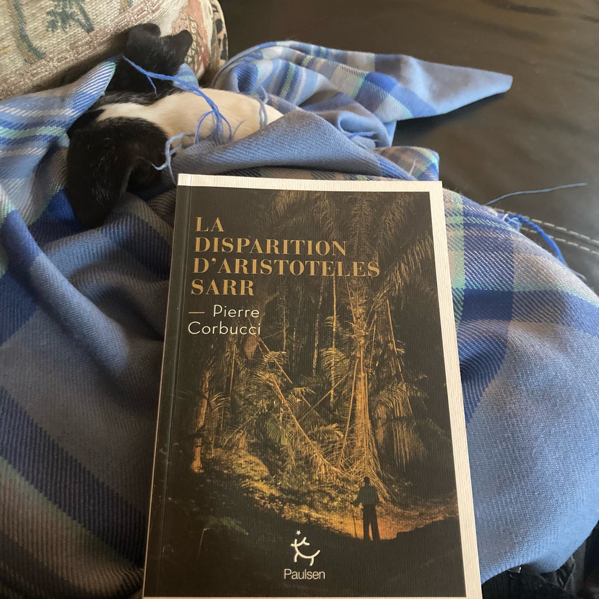 Le livre est posé sur mon plaid bleu. On aperçoit les petites oreilles noires de Dexter mon chien, qui est sous le plaid. La couverture du livre , aux tons Sépia, montre un homme dans une forêt sombre, devant d’immenses arbres.