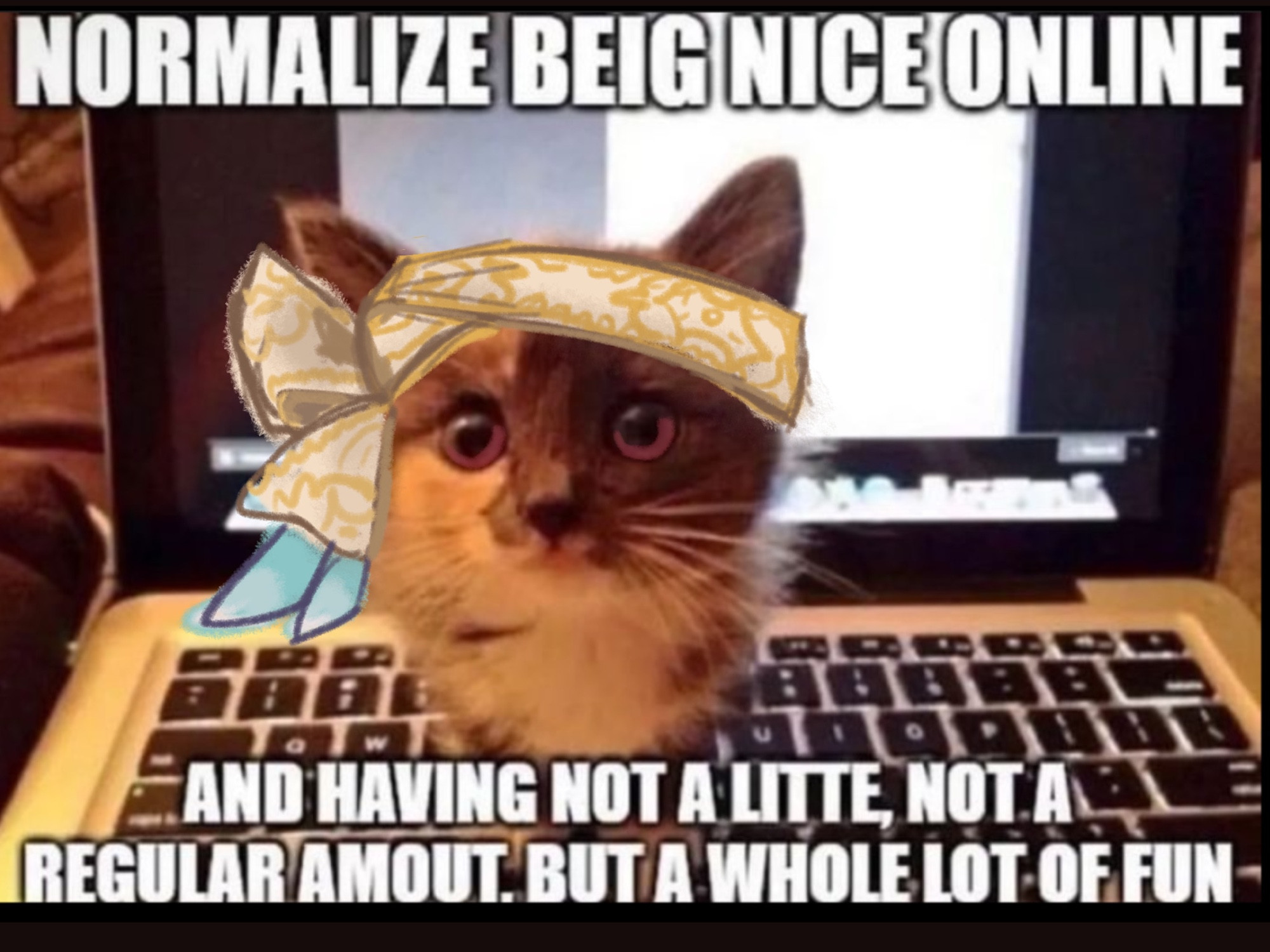 Kalim kitty with the caption “Normalize beig nice online and having not a litte, not a regular amout. But a whole lot of fun”