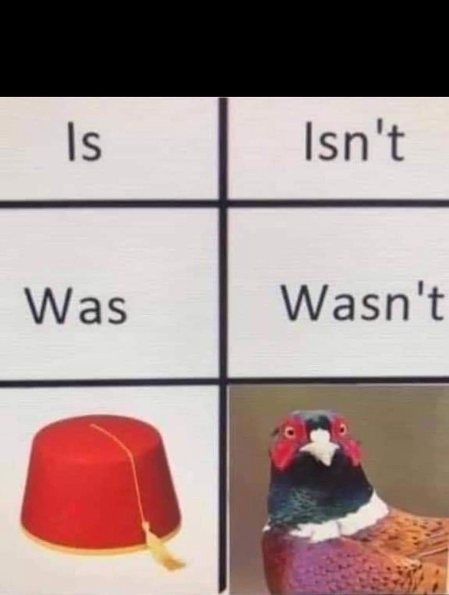 Image has three rows:

Is - Isn't 

Was - Wasn't

Photo of a Fez - Photo of a pheasant.