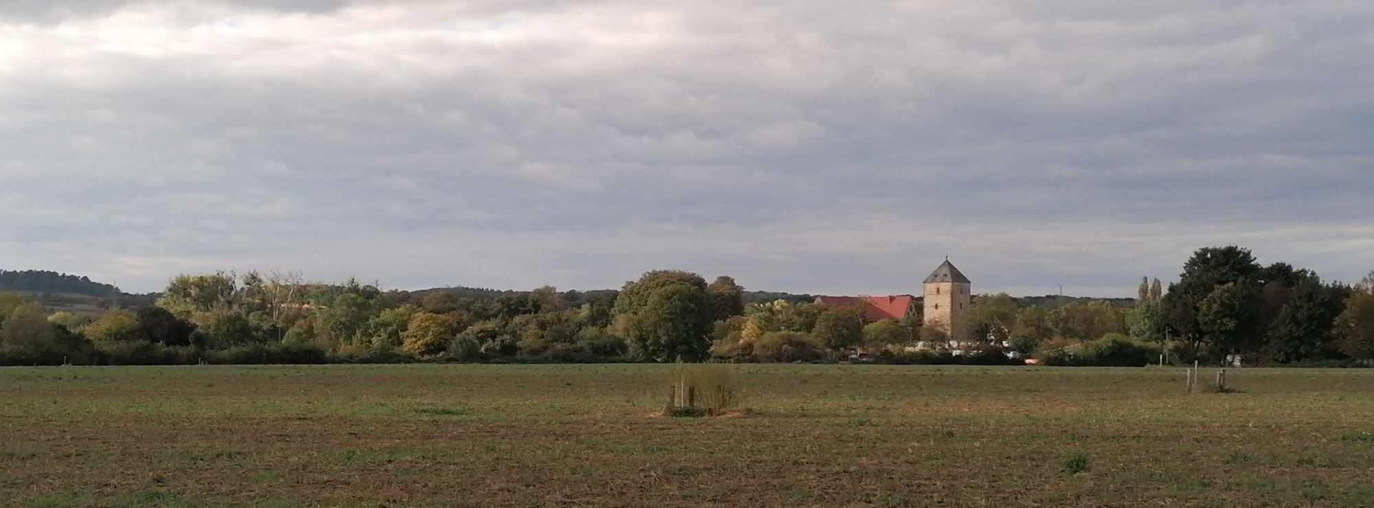 Herbstliche Burg Steuerwald im Norden der Stadt Hildesheim. Der Bergfried liegt hinter einem abgeernteten Feld in etwas Sonne, der Himmel darüber bewölkt und grau.