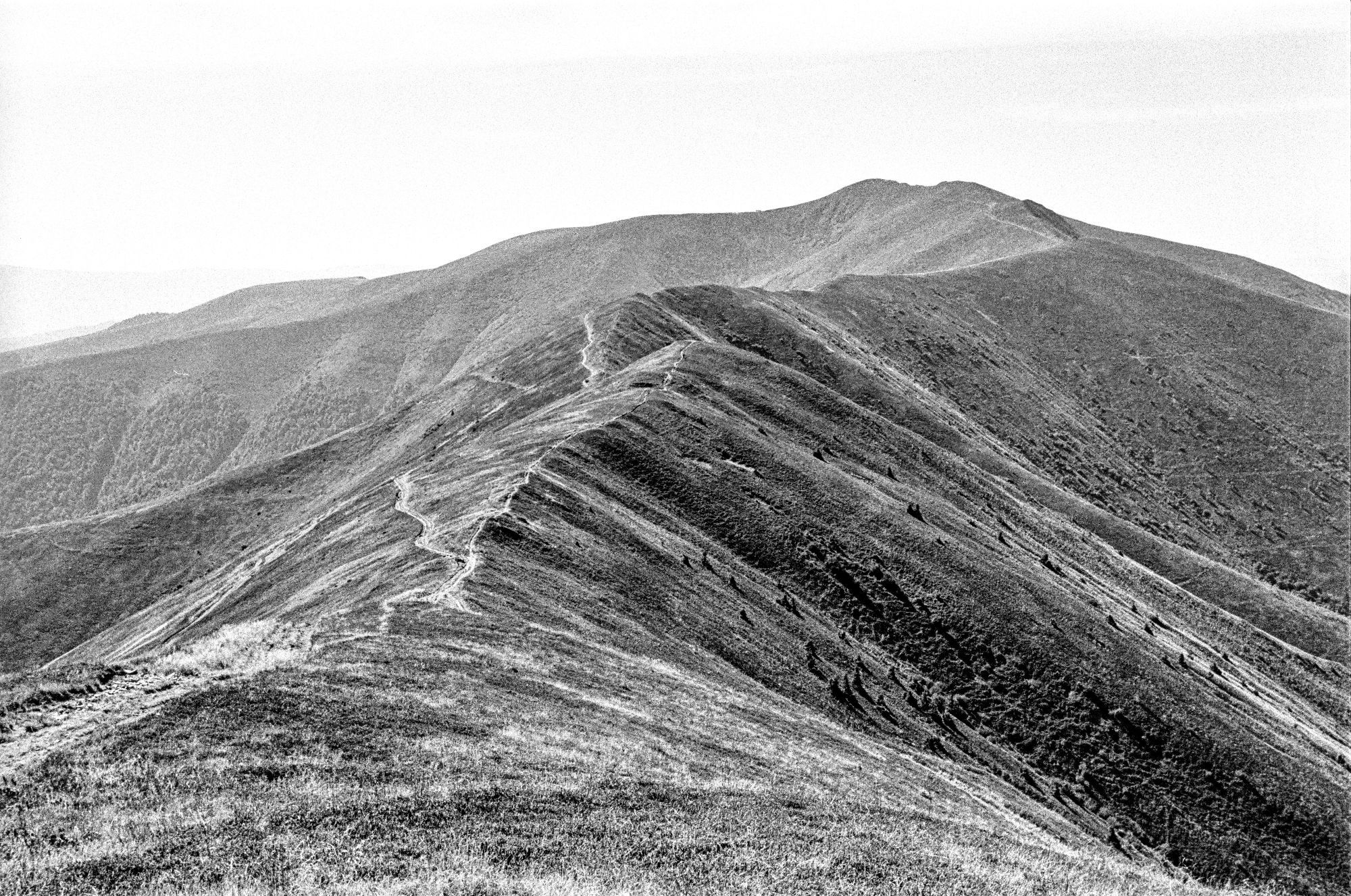 This black-and-white image captures a rugged mountain landscape, with a prominent ridgeline extending through the center of the frame. A winding trail follows the crest of the ridge, leading the eye toward the distant peak that dominates the background. The terrain is steep and textured, with sparse vegetation covering the slopes. The image conveys a sense of isolation and natural beauty, with the trail inviting exploration. The grayscale tones emphasize the contrasts in the landscape, highlighting the undulating form of the mountains and the subtle details of the path.