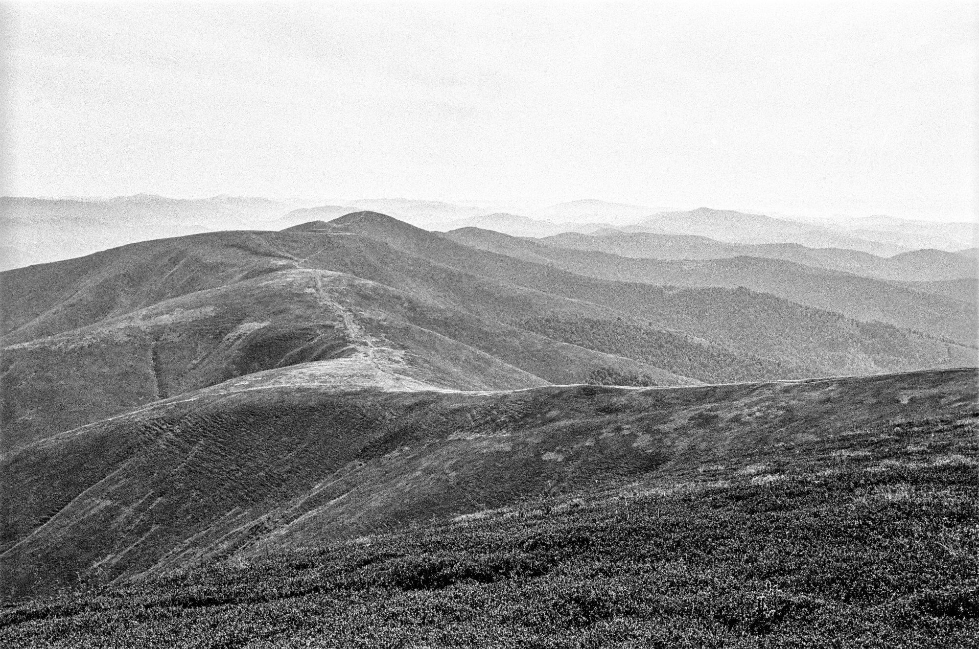 This black-and-white image shows a series of rolling hills and mountain ridges extending into the distance. The terrain appears to be covered with low vegetation, giving it a smooth, continuous texture. The ridges create a sense of depth, with the hills gradually fading into the background, where the distant mountains are barely visible through the atmospheric haze. The overall mood of the image is serene and expansive, with a strong sense of natural beauty and open space. The grayscale tones add a timeless, classic feel to the landscape.