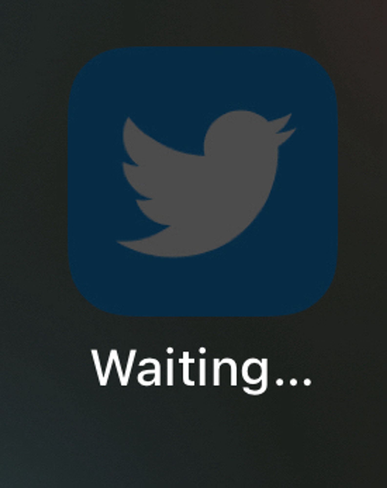 A close-up screen shot of the old Twitter app logo, a white bird on a blue background, showing the app is updating in the background